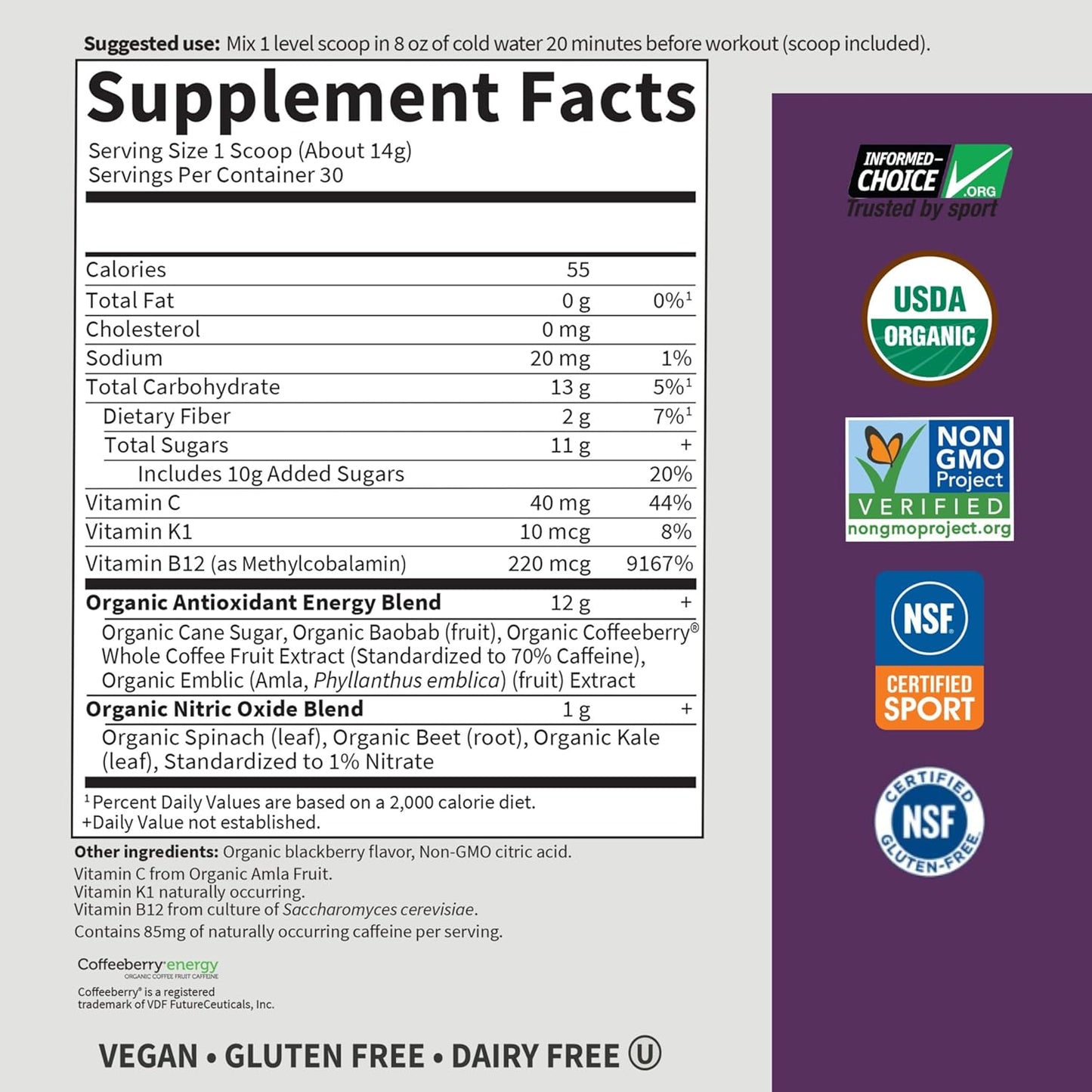 Organic Plant Based Energy + Focus Pre Workout Powder - Garden of Life Sport, 85mg Caffeine, B12, Vegan, Gluten Free, Non-GMO - Blackberry Flavor, 15.3 Oz
