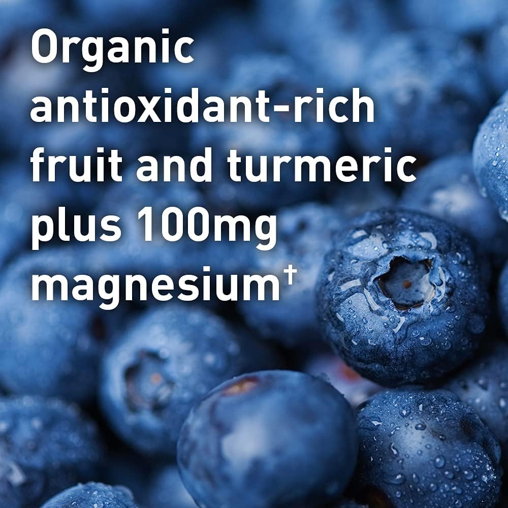 Organic Plant Based Post Workout Muscle Recovery Powder - BlackBerry Lemonade, 30 Servings, 100mg Magnesium, Antioxidants, 15.7 Oz - Garden of Life Sport Vegan for Men & Women