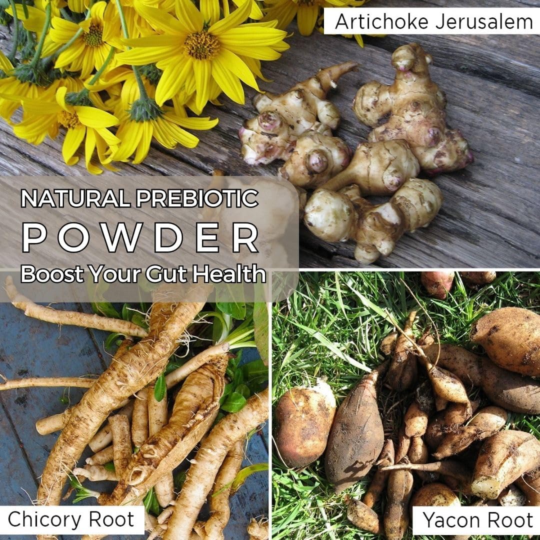 Organic Plant-Based Prebiotic Blend with FOS & Inulin - Nourish Gut Health & Immunity - Ideal for Smoothies, Juices - Keto, Vegan, Gluten-Free - 6oz/170g