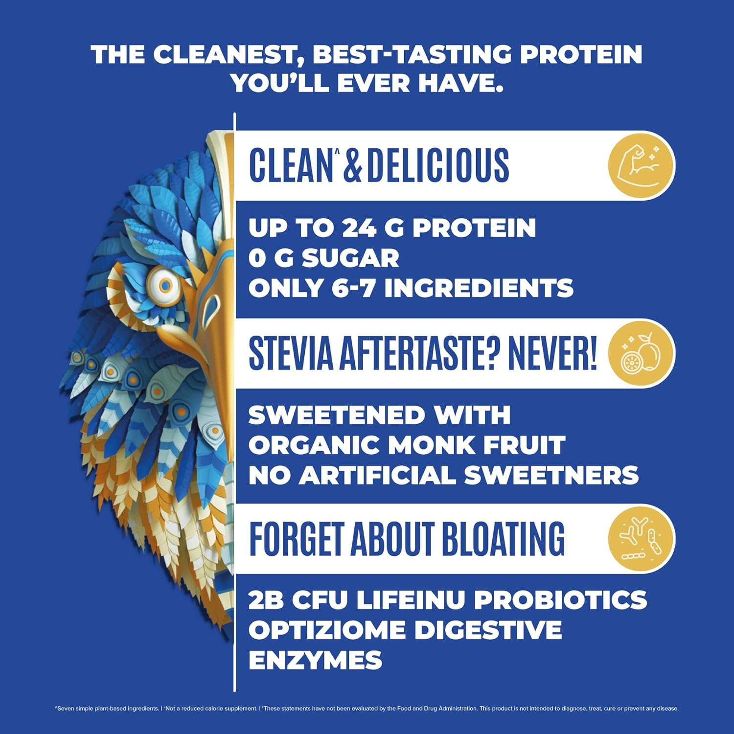 Organic Plant Based Vegan Protein Powder Combo Pack - Vanilla & Chocolate Flavors, Non Dairy, Low Carb, Sugar-Free, Keto Friendly - 40 Servings