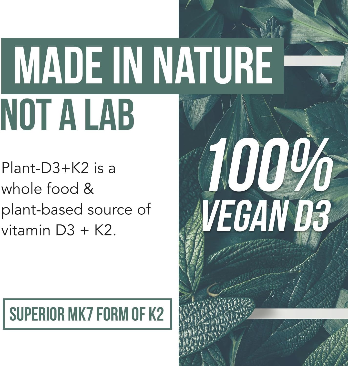 Organic Plant-Based Vitamin D3 + K2 Capsules for Enhanced Digestion - Vegan & Raw Formula with Prebiotic & Superfood Complex - 60 Count