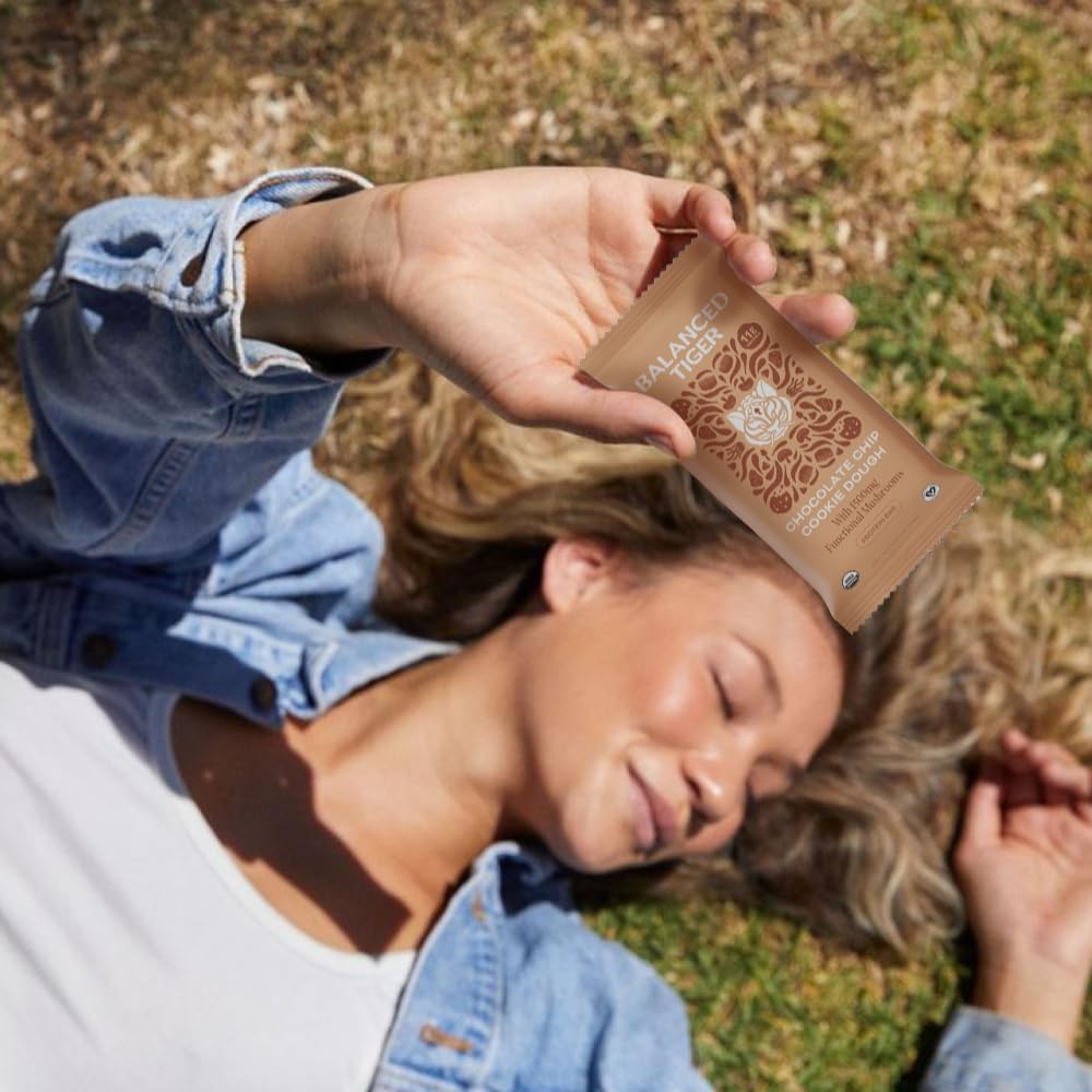 Organic Plant Protein Bars with Functional Mushrooms 1500mg Lions Mane, Chaga, Reishi & Cordyceps | Vegan Superfood Bars Made in USA | Chocolate Chip Cookie Dough Flavor