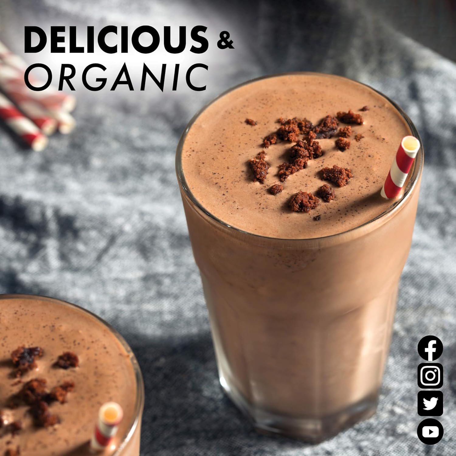 Organic Plant Protein Powder - 18g Protein, 3.5g Fiber - Chia & Quinoa - Non-GMO, Vegan, Kosher - USDA Organic - Chocolate Flavor - 1 LB