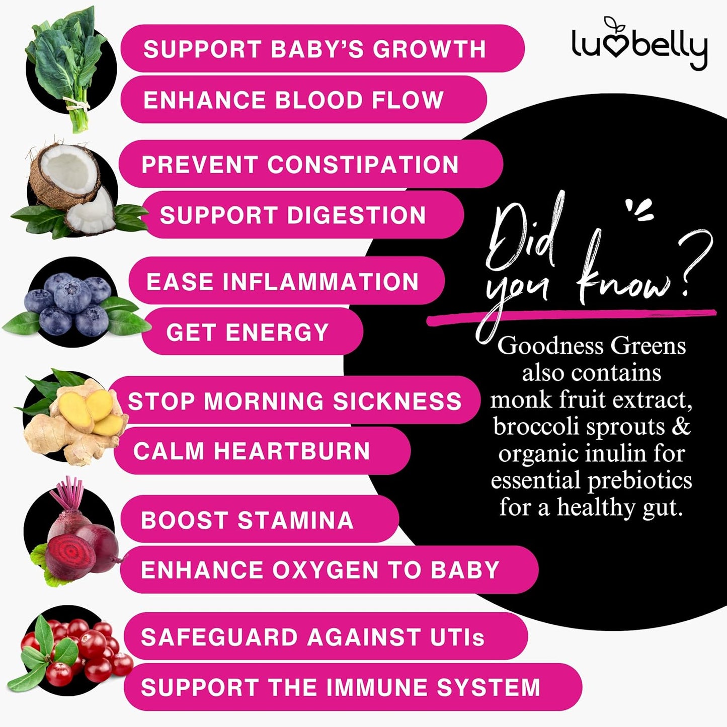 Organic Prenatal Greens Powder for Pregnancy - OBGYN Approved Supplement - Pregnancy Energy Drink Mix - 24 Servings
