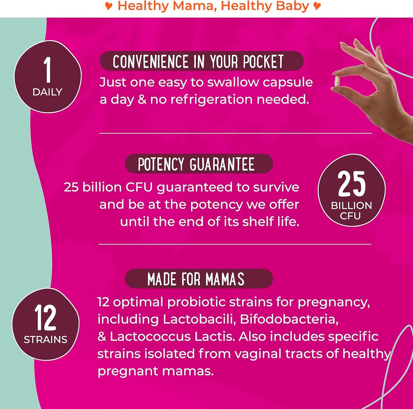 Organic Prenatal Multi & Probiotics Bundle - Essential Nutrition for Women, One a Day Formula, Pregnancy & Postnatal Support