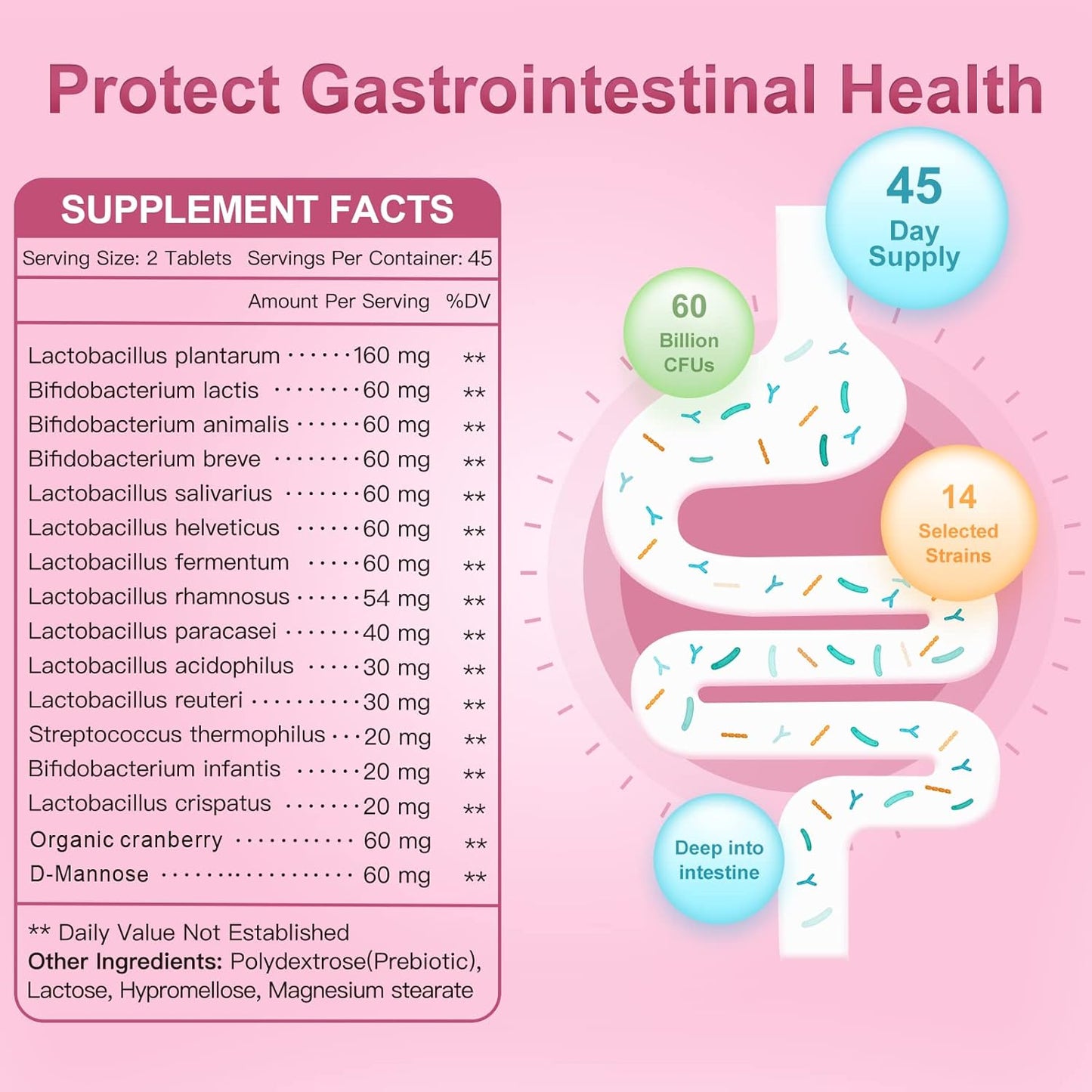 Organic Probiotic Blend for Women - 60 Billion CFUs, Prebiotics, Cranberry, D-Mannose - Digestive & Immune Support