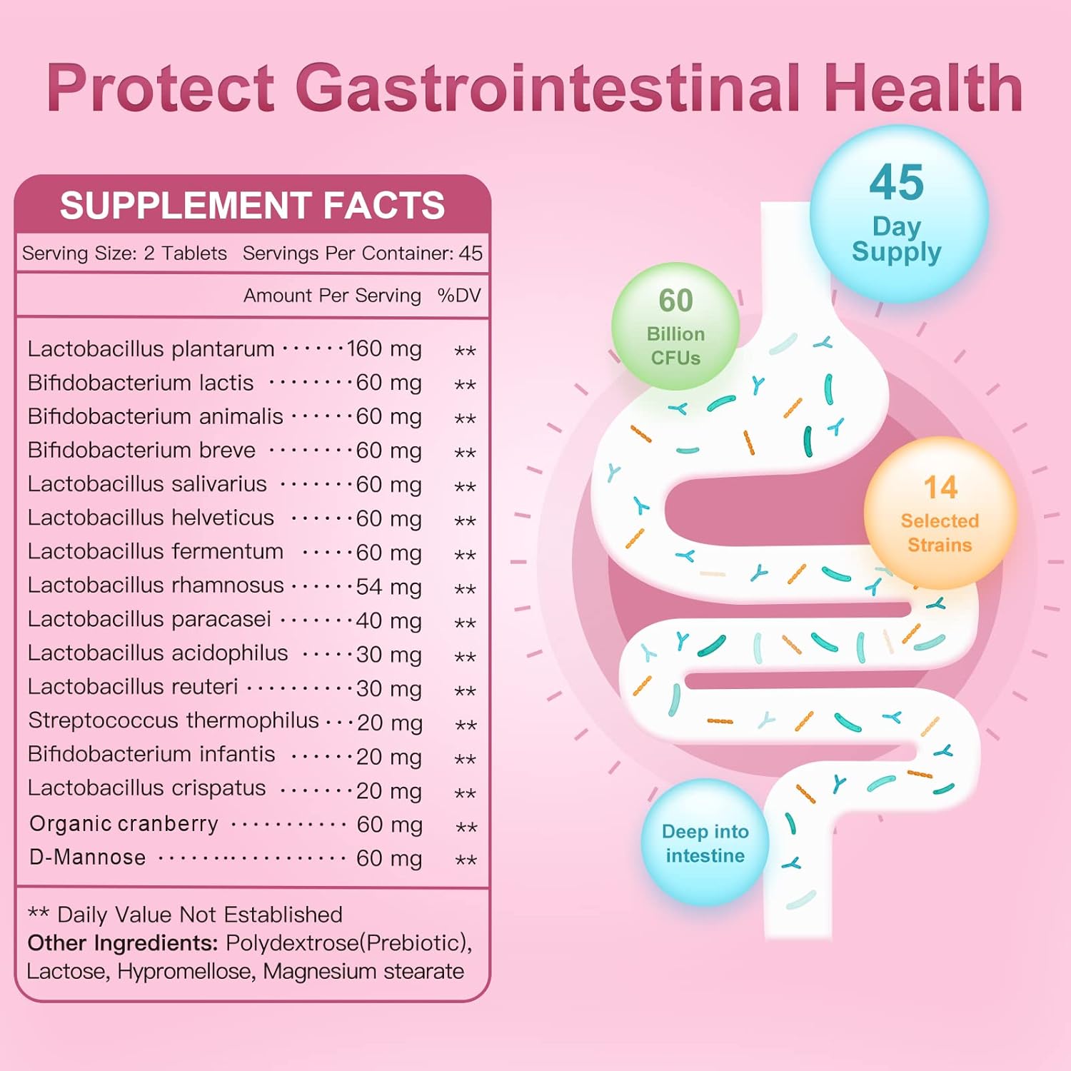 Organic Probiotic Blend for Women - 60 Billion CFUs, Prebiotics, Cranberry, D-Mannose - Digestive & Immune Support