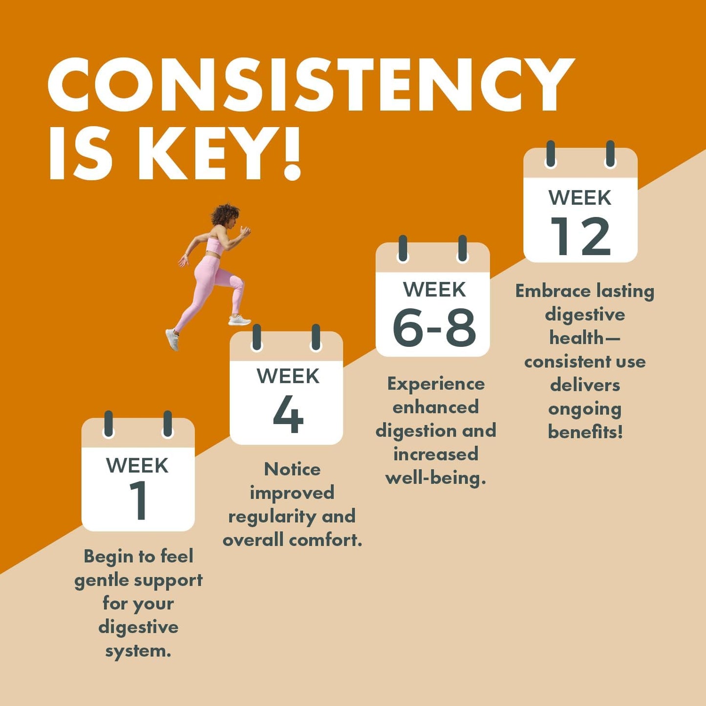 Organic Probiotic Colon Optimizer Supplement with Ginger and Peppermint - Gut Health for Men and Women, Digestive Health Support - 60 Capsules