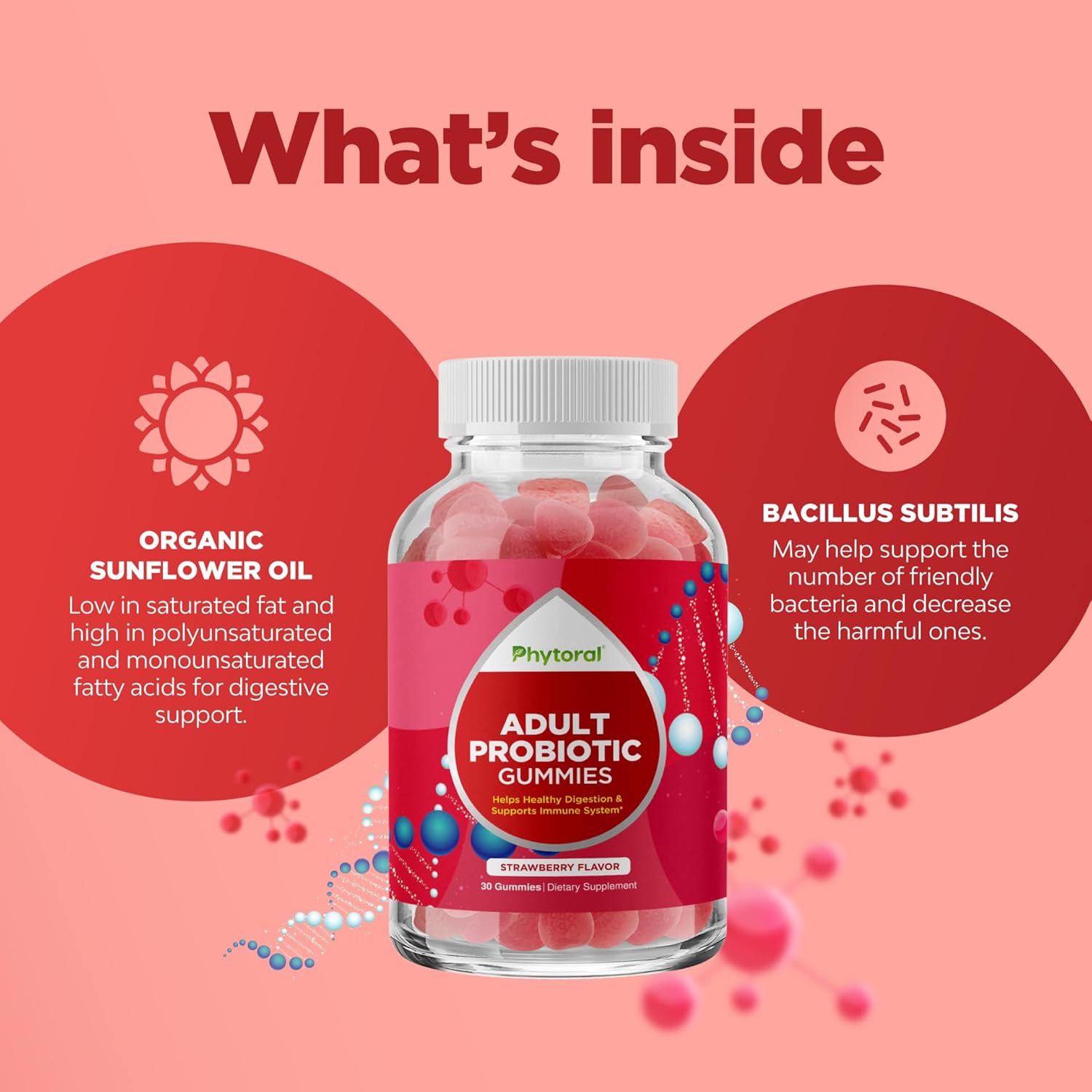 Organic Probiotic Gummies for Gut Health & Immune Support - 5 Billion CFU - Digestive Health Relief for Adults - Phytoral Chewable Probiotics