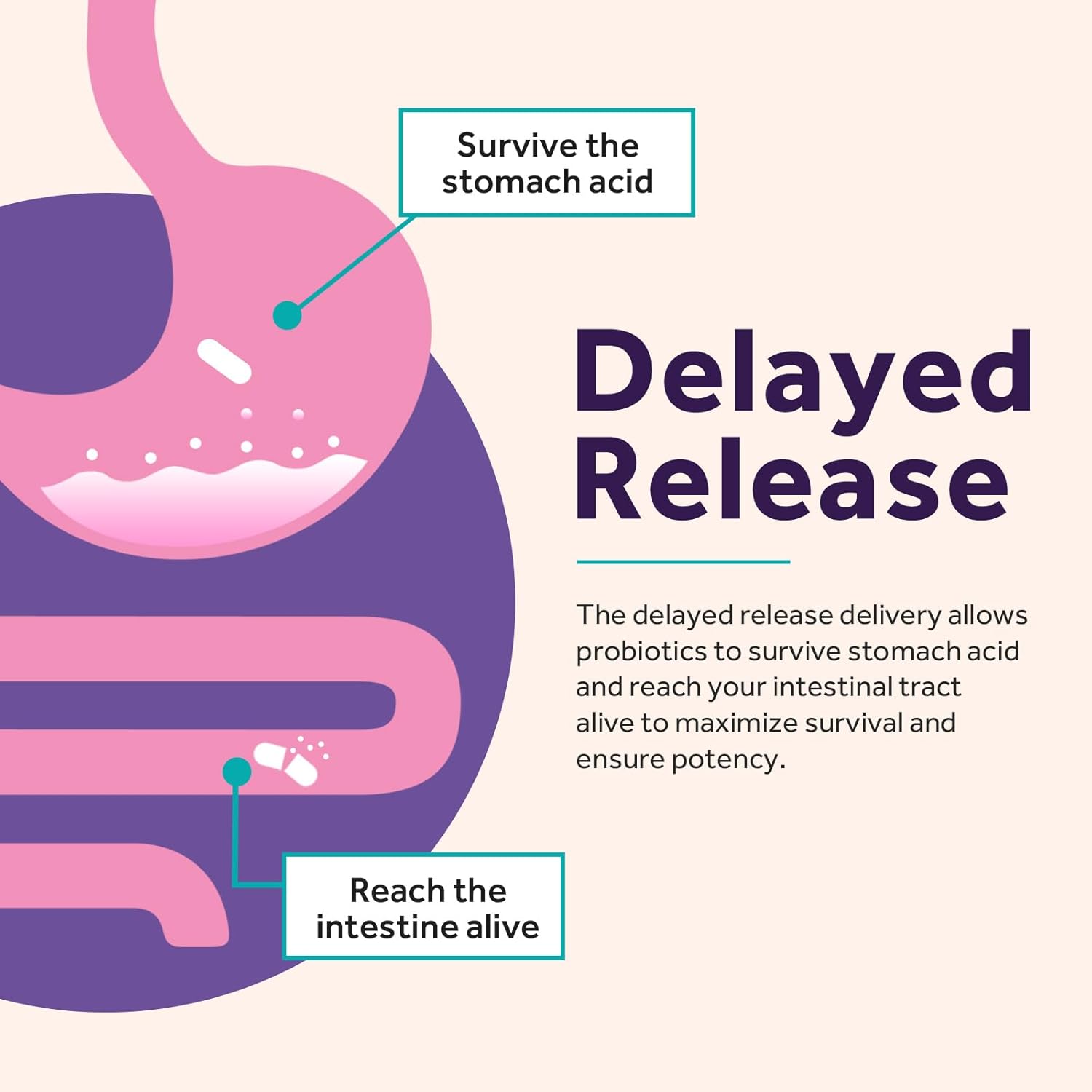 Organic Probiotics for Women - Doctor's Recipe for Digestive & Vaginal Health, 70 Billion CFU, 10 Strains, 30 Capsules