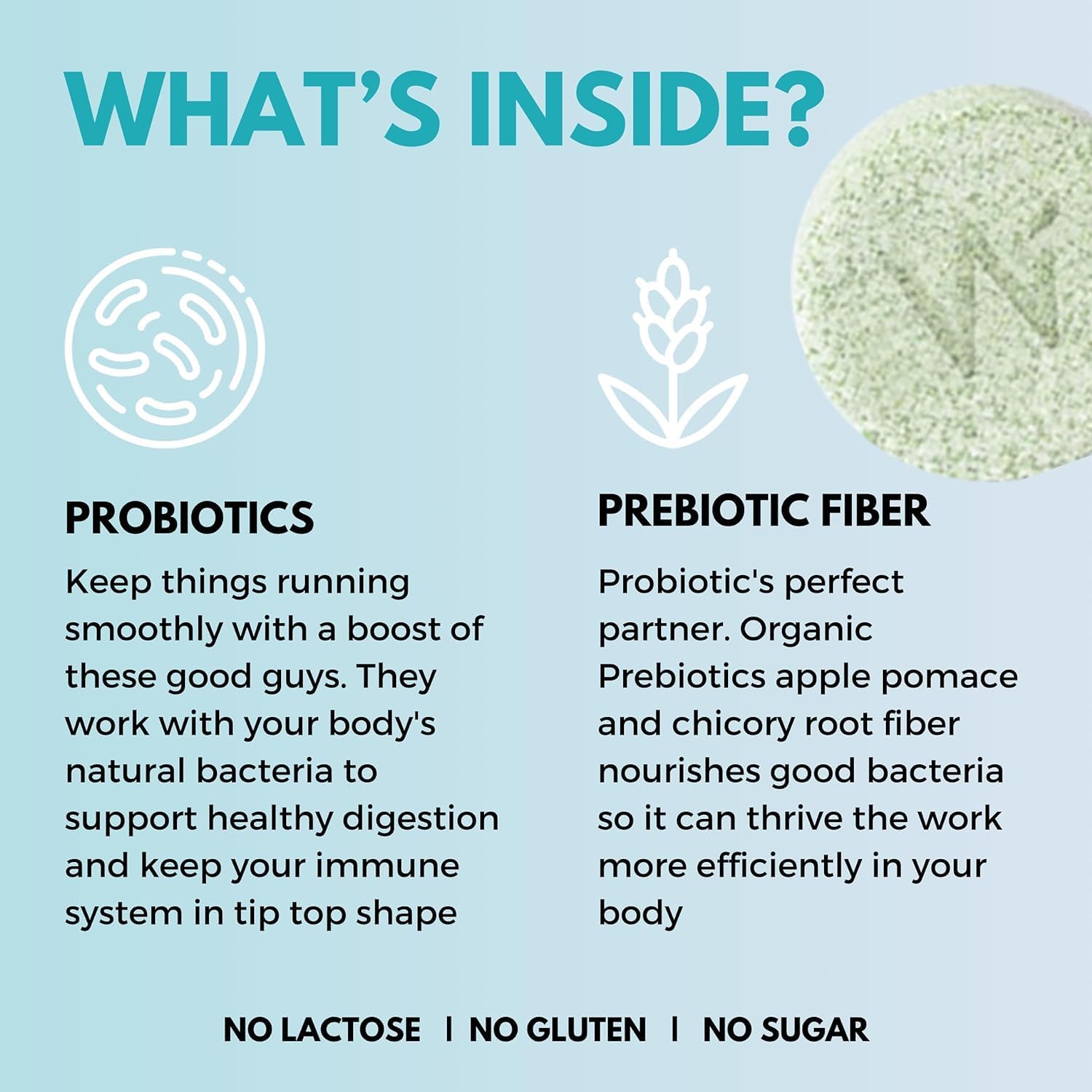 Organic Probiotics with Prebiotics for Gut Health | Boost Metabolism & Aid Digestion | 18 Billion CFU Supplement (21 Effervescent Tabs)