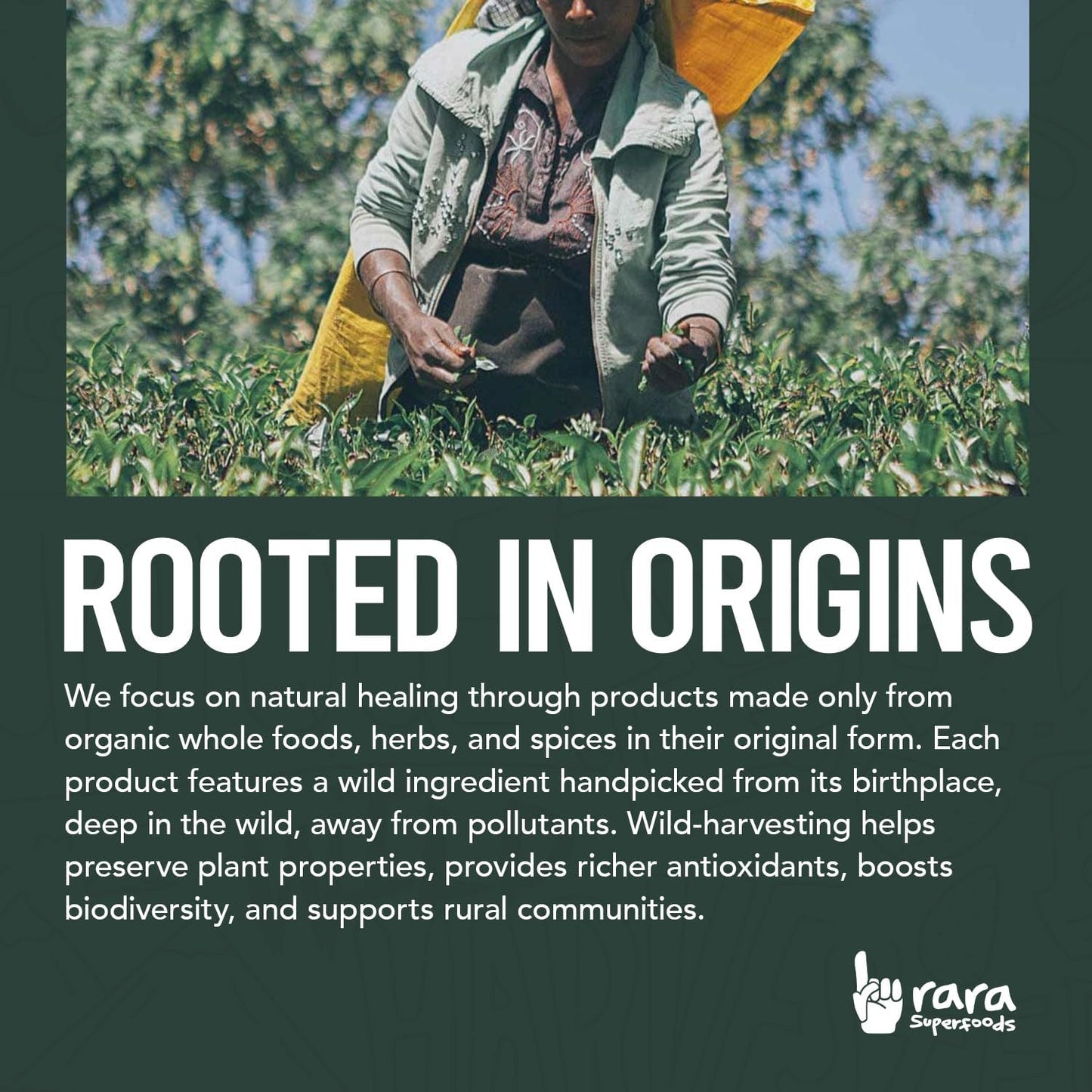 Organic Rara Superfoods Rest Gummies: Natural Sleep & Cognitive Support with Ashwagandha & Chamomile - Vegan & Gluten-Free (6 Gummies)