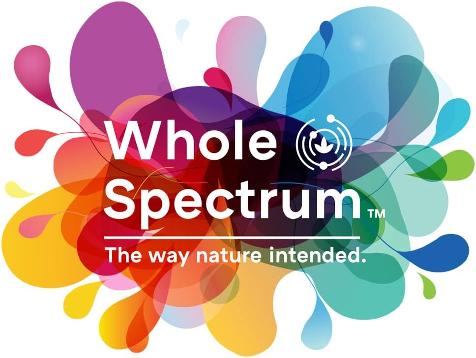 Organic Raspberry Flavored Kids Mood Support Gummies with 5-HTP, L-Theanine, and Passionflower - 60 Vegan Chews by Creekside Natural Therapeutics