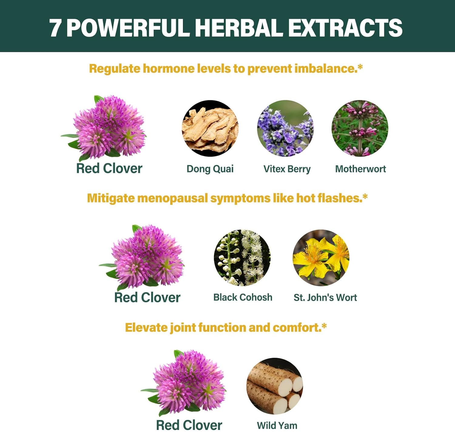 Organic Red Clover Herb Drops for Hormone Balance in Menopause with Dong Quai & Wild Yam - 2oz Herbal Tincture Supplement for Hot Flashes Relief & Bone Health