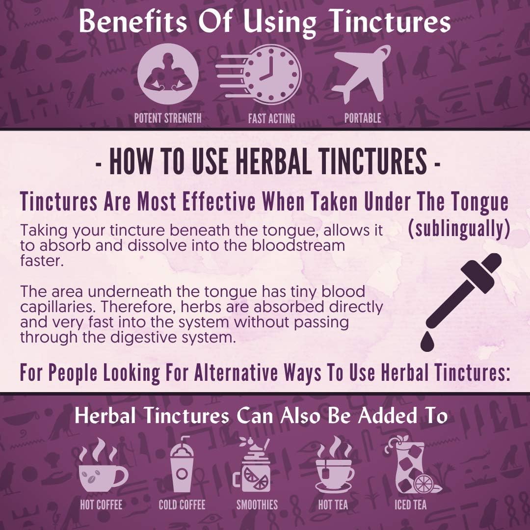 Organic Red Clover Liquid Extract for Menopause Support - 1 fl oz by Ra Herbals