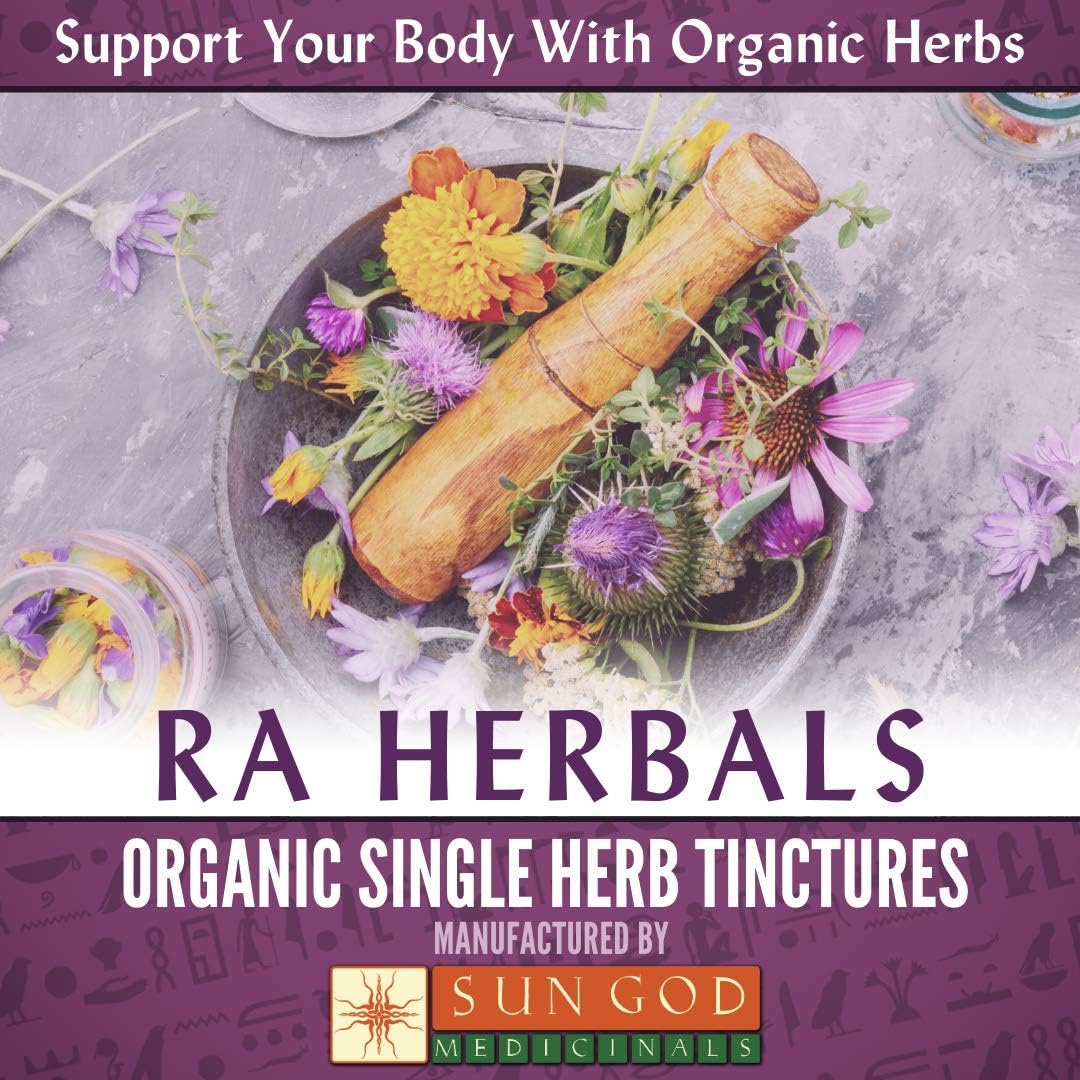 Organic Red Clover Liquid Extract for Menopause Support - 1 fl oz by Ra Herbals