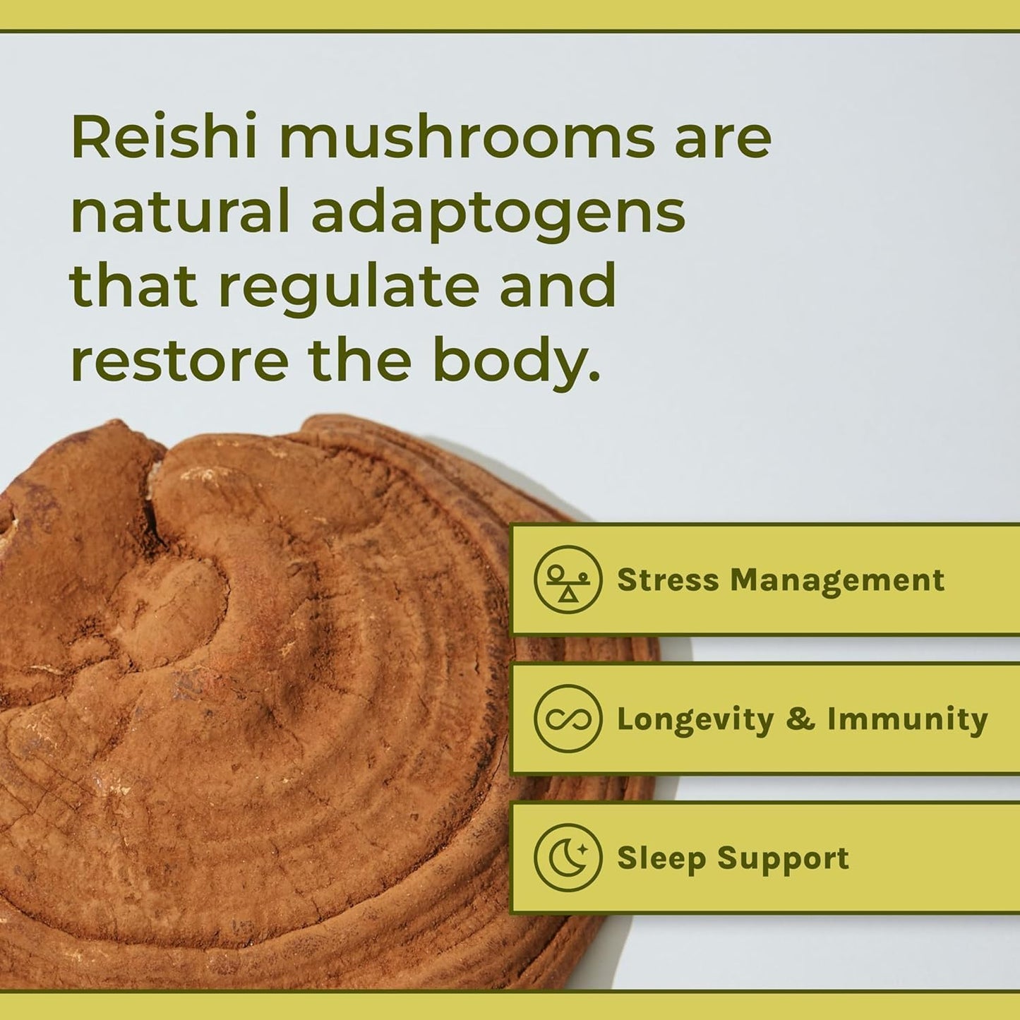 Organic Reishi Mushroom Capsules for Calmness, Immune Support & Sleep - Vegan and Non-GMO Supplement, 30-Day Supply