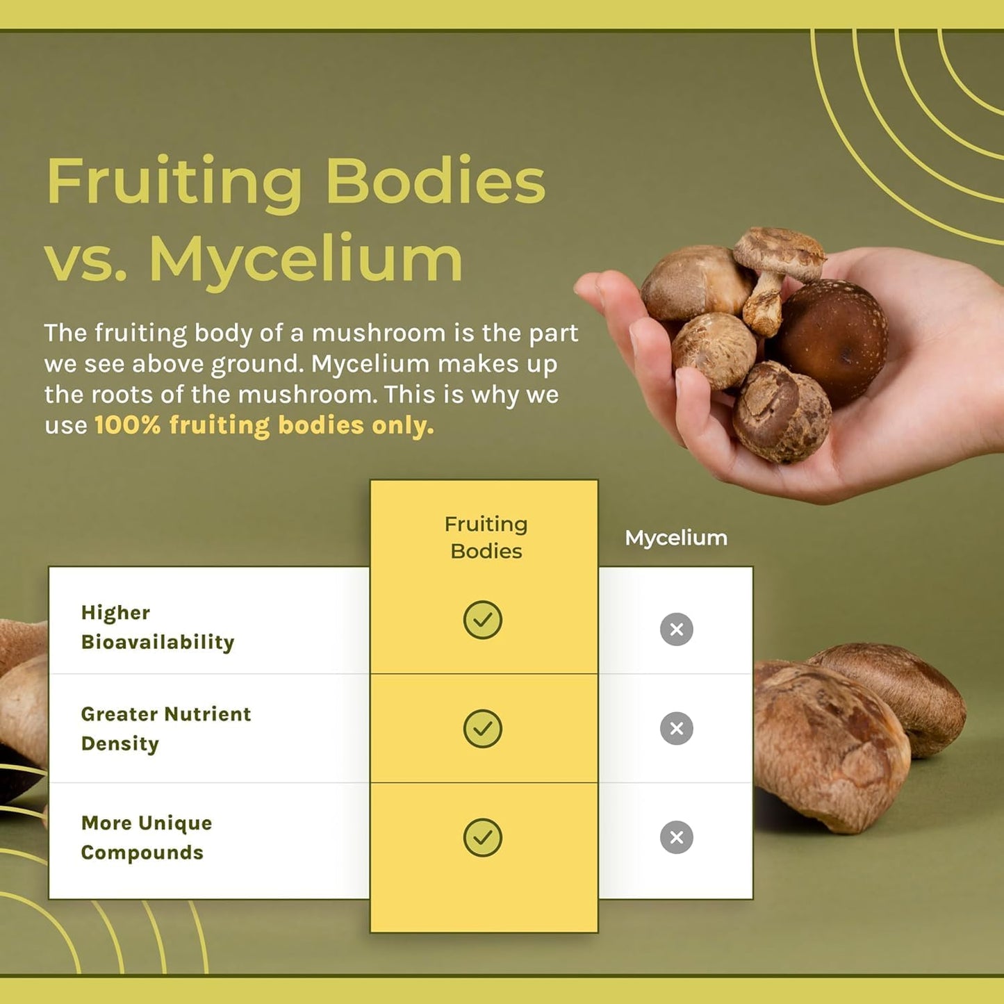 Organic Reishi Mushroom Capsules for Calmness, Immune Support & Sleep - Vegan and Non-GMO Supplement, 30-Day Supply