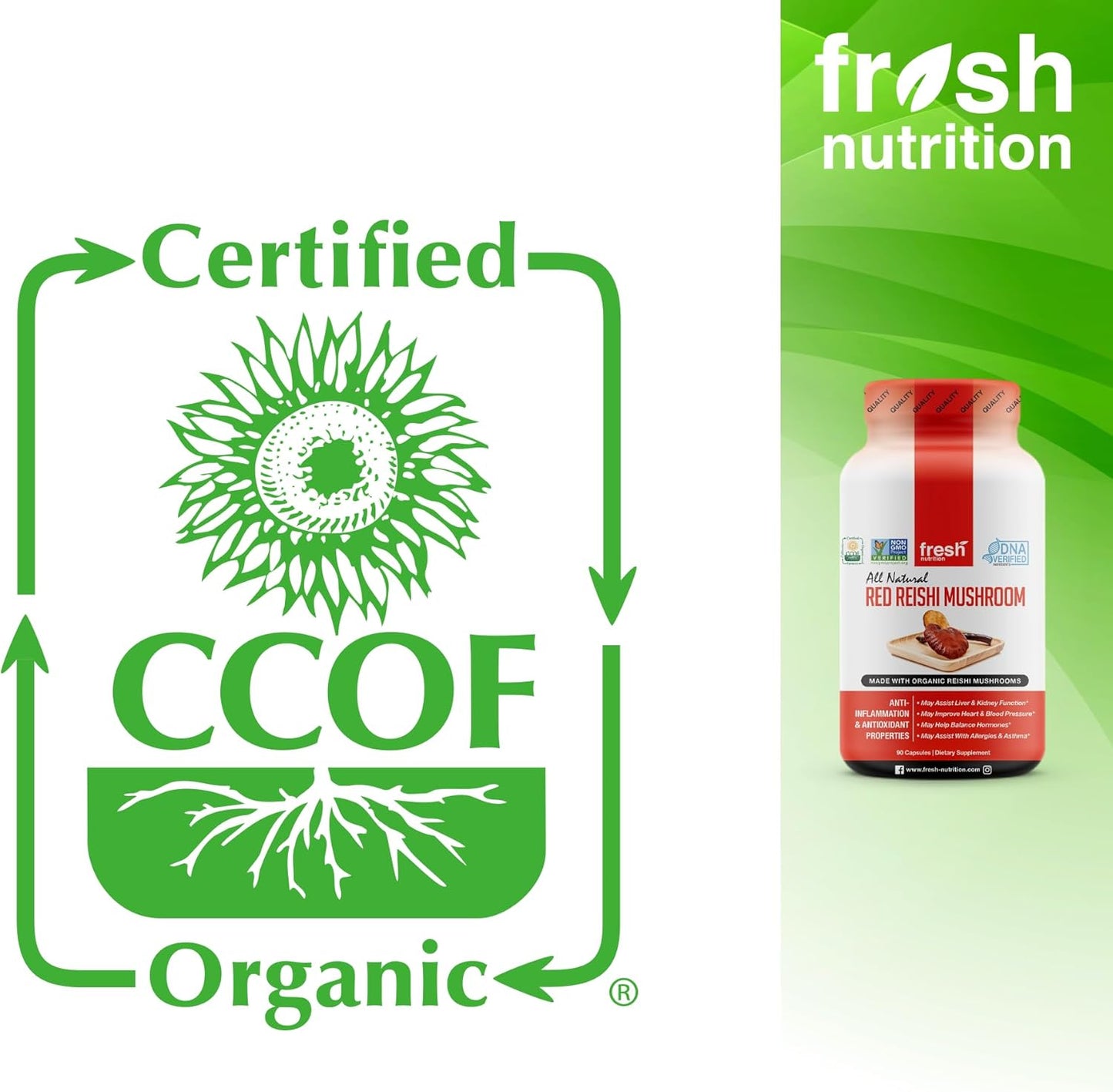 Organic Reishi Mushroom Capsules with Alpha Glucan - Ganoderma Lucidum & Applanatim - Third Party Tested - 90 Pills