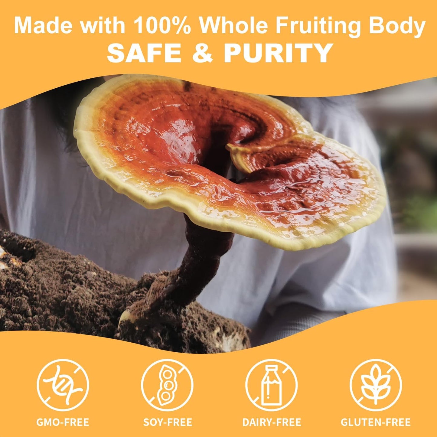 Organic Reishi Mushroom Capsules with Superfood Extracts for Longevity and Immune Health