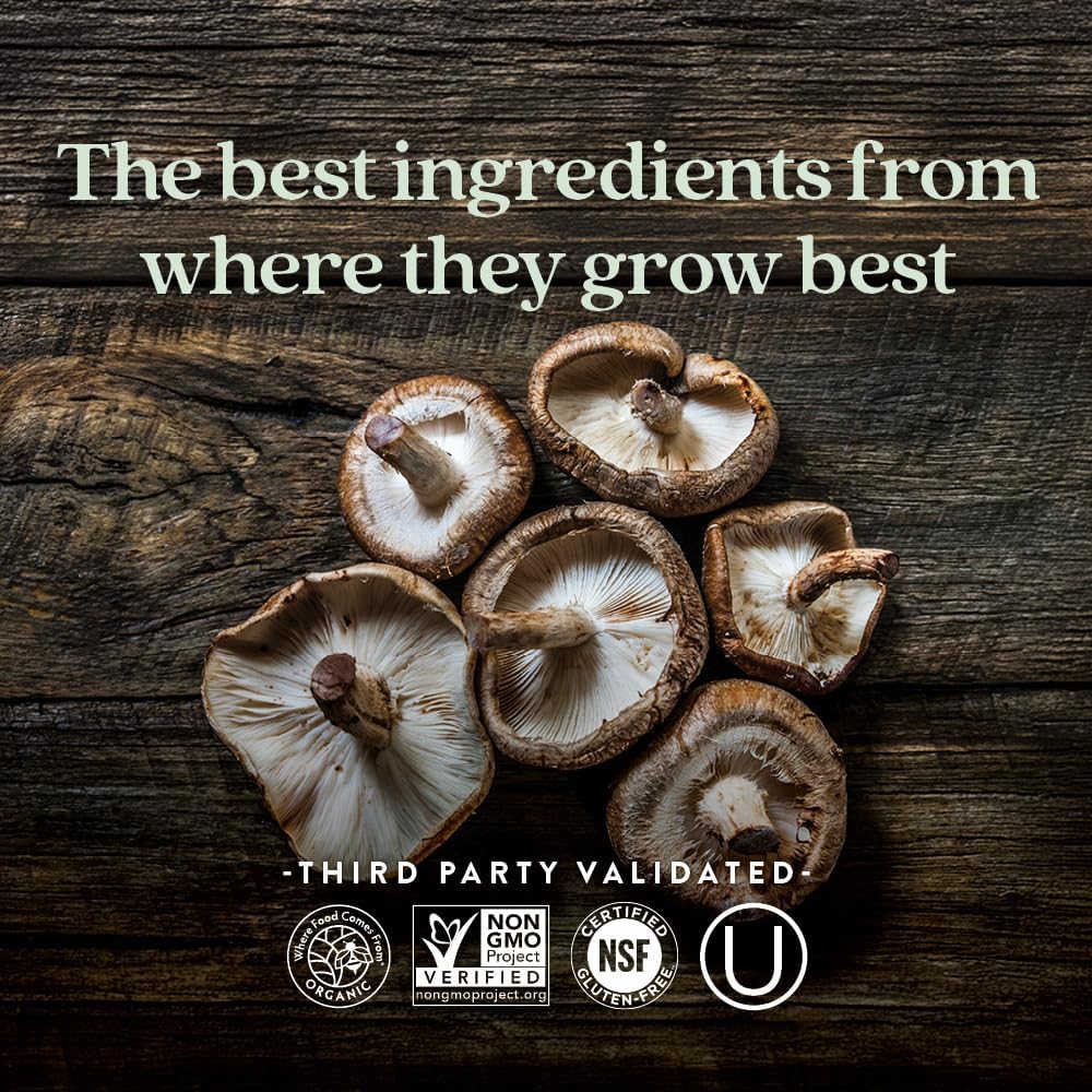 Organic Reishi Mushroom Immune Support Supplement - Vegan, Non-GMO Nootropic Formula - 60 ct