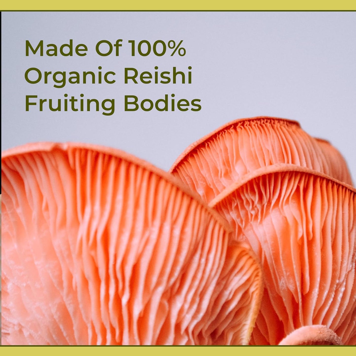 Organic Reishi Mushroom Liquid Supplement - Supports Calmness, Immune Health, and Better Sleep - Vegan & Non-GMO - 1 Month Supply