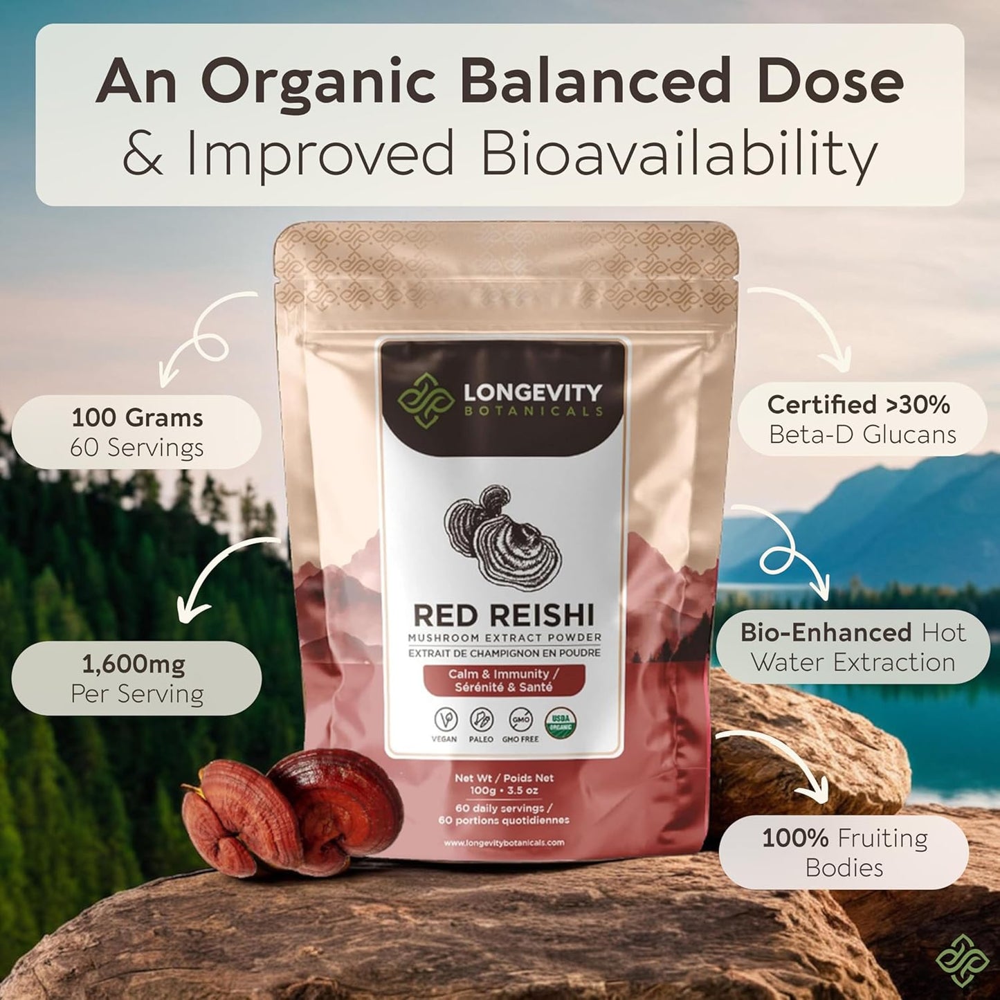 Organic Reishi Mushroom Powder - Immune Support Supplement - Stress Relief & Sleep Aid - 100% Fruiting Body - 100g