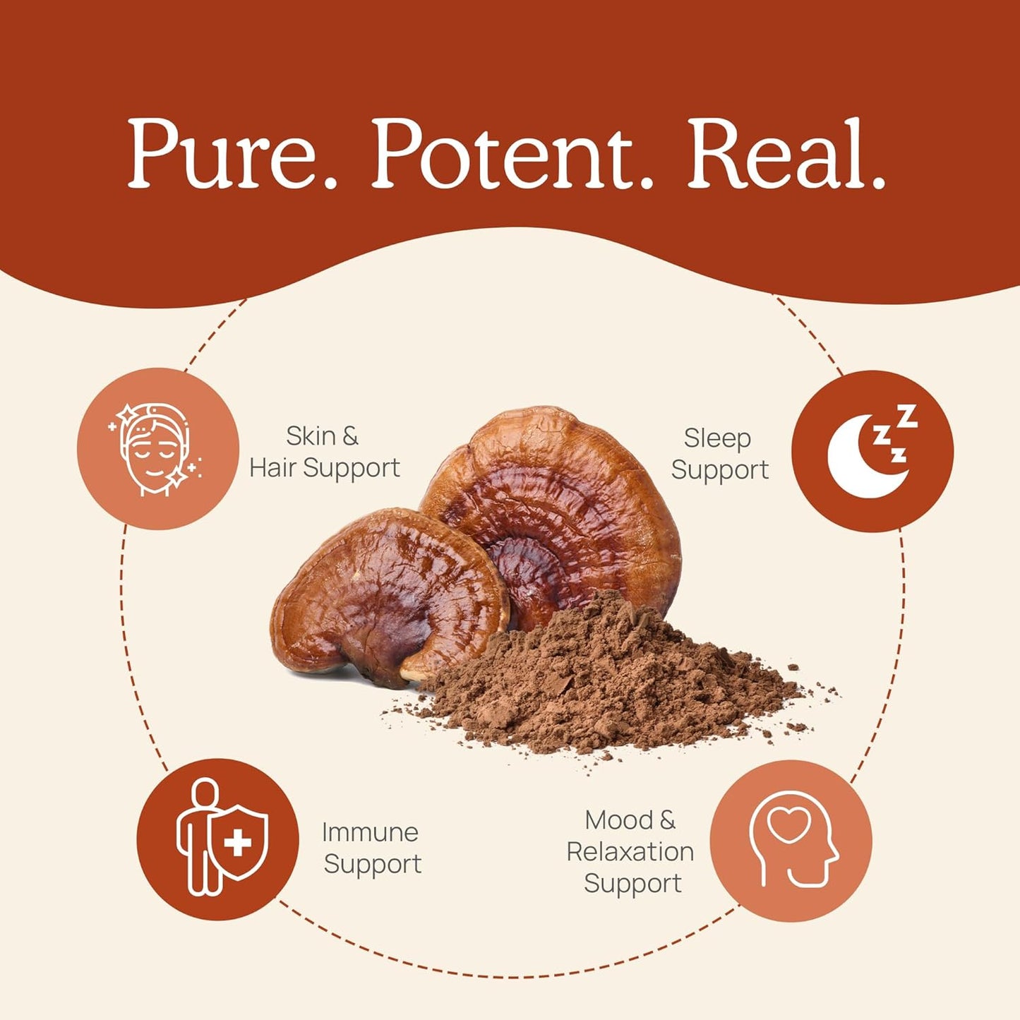Organic Reishi Mushroom Powder Supplement - Potent Red Extract for Longevity, Mood, Sleep & Immune Support - Vegan, Non-GMO - 45 Servings