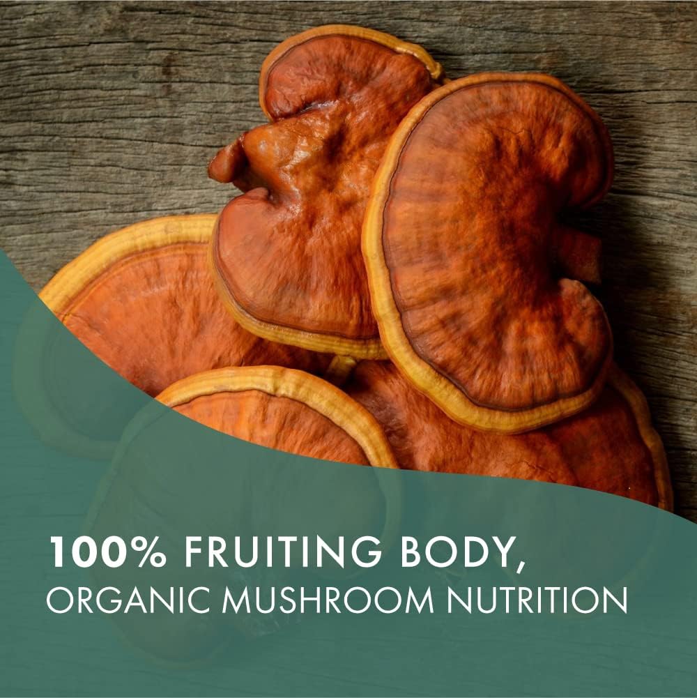 Organic Reishi Mushroom Supplement - Immune Support, Stress Relief, Energy Boost - 30 Capsules - Pure Essence Labs