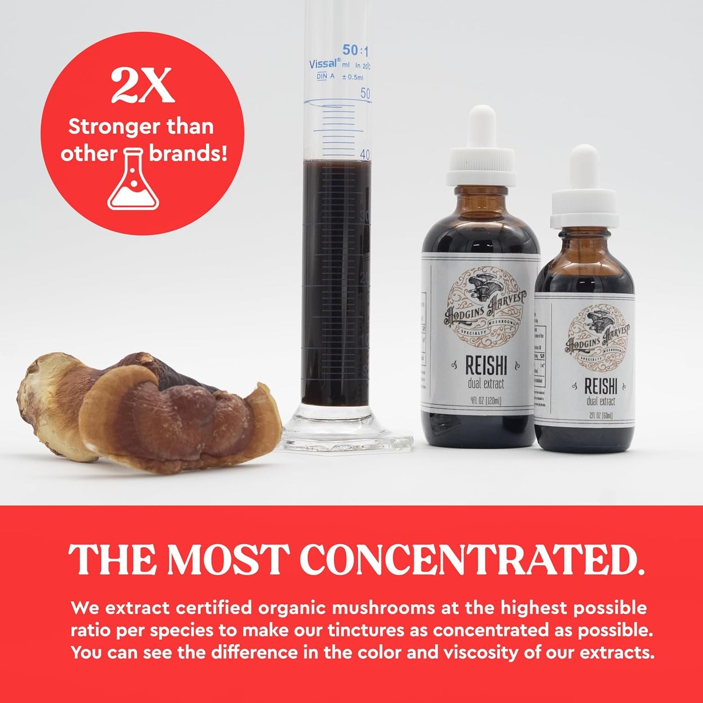 Organic Reishi Tincture | Dual Extract from USA-Grown Mushrooms | Extra-Concentrated 4 fl oz Bottle by Hodgins Harvest