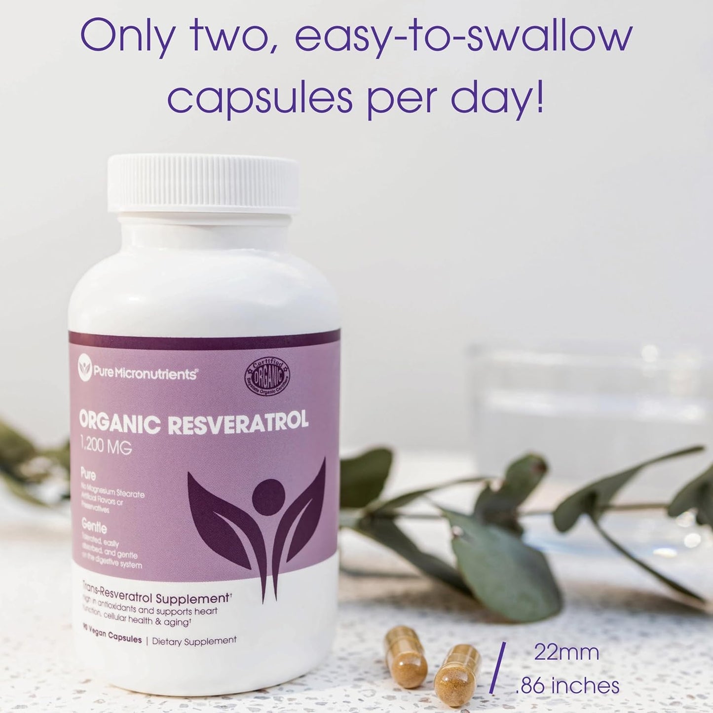 Organic Resveratrol Supplement - 1200mg Per Serving - Anti Aging & Immune Support - 90 Vegan Capsules - Extra Strength Formula with Green Tea Leaf & Black Pepper