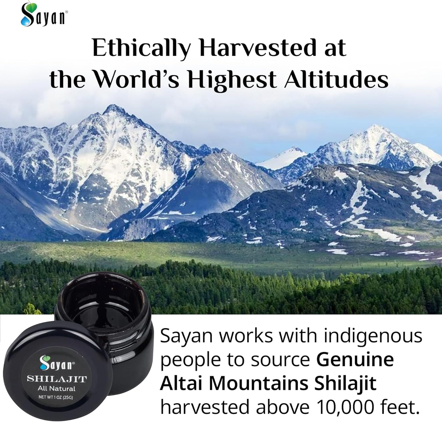 Organic Sayan Shilajit Resin 1oz Glass Jar - Potent Fulvic Acid Supplement for Immune Support, Memory, Focus, Energy, and Detox - Vegan, Non-GMO - 250 Servings