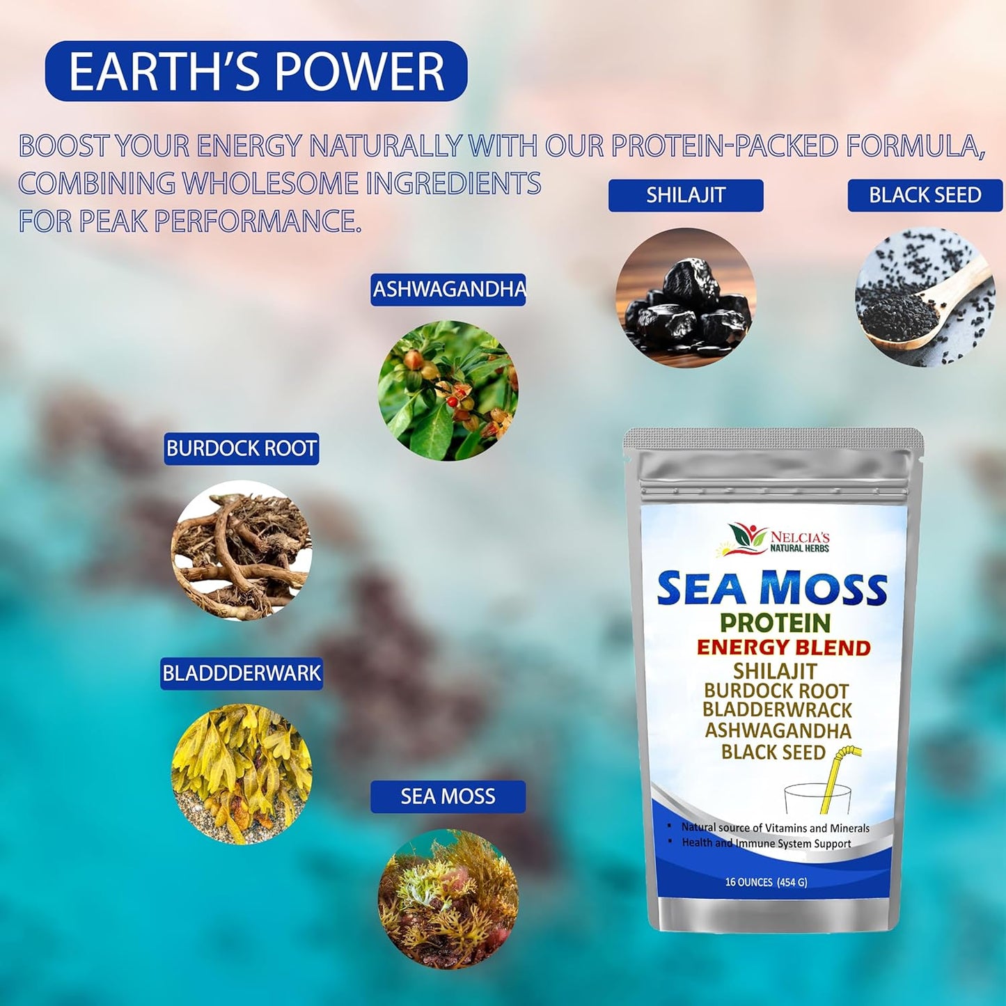 Organic Sea Moss Ashwagandha Protein Powder with Bladderwrack and Burdock Root, Black Seed, Shilajit - 16oz