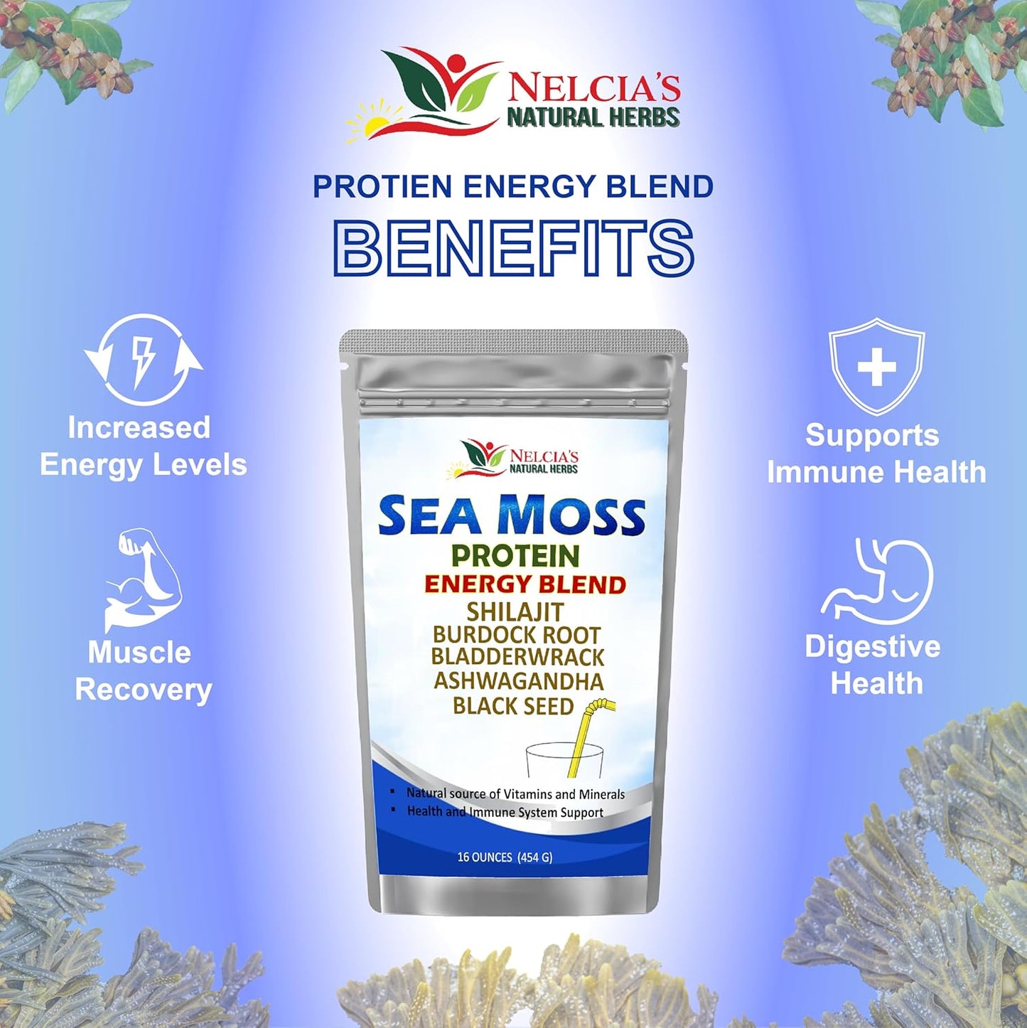 Organic Sea Moss Ashwagandha Protein Powder with Bladderwrack and Burdock Root, Black Seed, Shilajit - 16oz