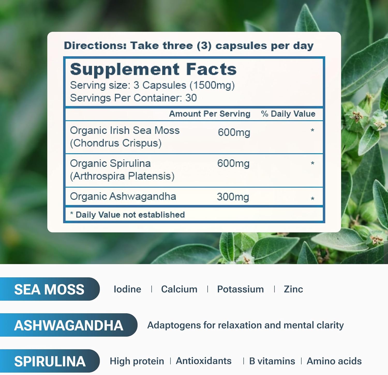 Organic Sea Moss Capsules with Spirulina, Ashwagandha - High Potency Supplement for Strength & Endurance - 90 Count - Made in USA