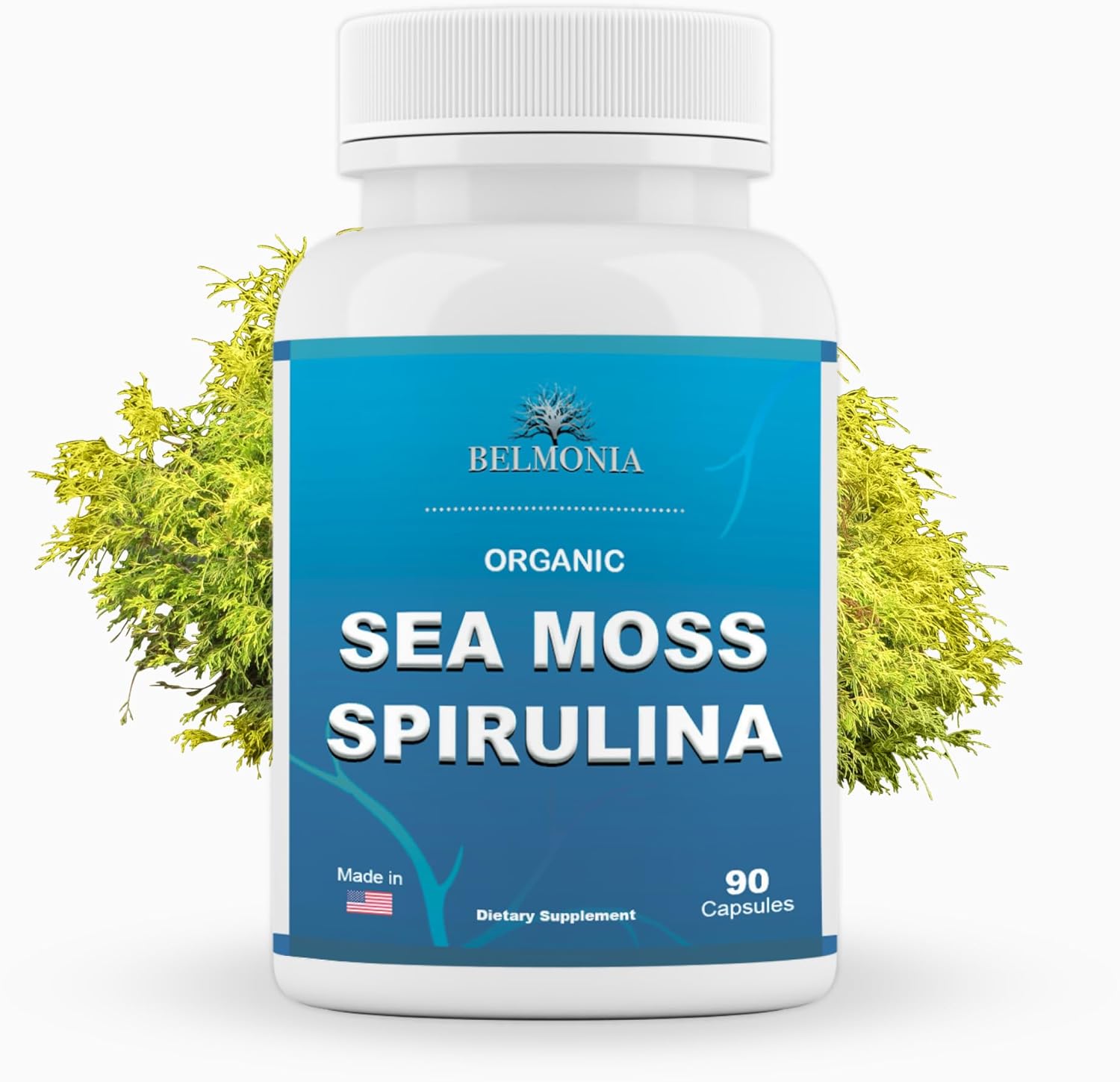 Organic Sea Moss Spirulina Capsules - High Potency Strength & Endurance Supplement for Men & Women - 100% Pure Superfood - Made in USA - 90 Vegan Caps