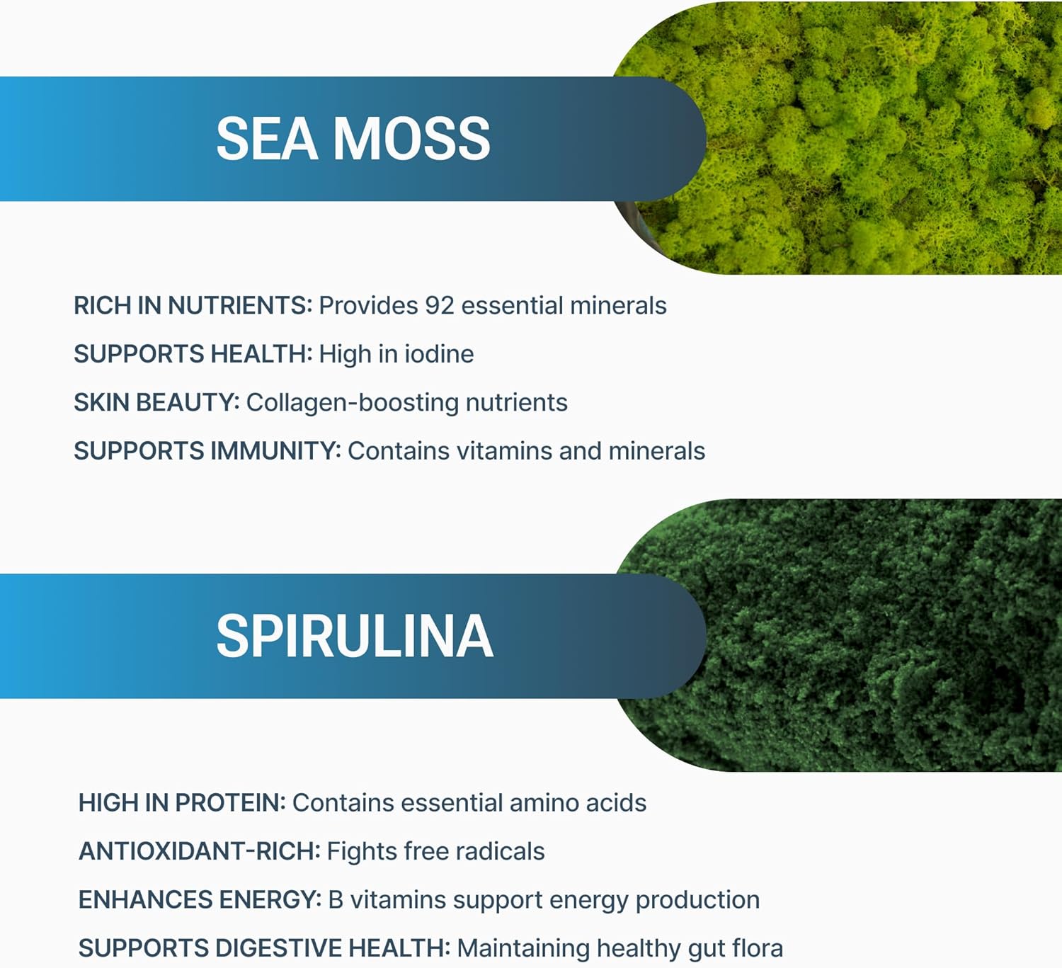 Organic Sea Moss Spirulina Capsules - High Potency Strength & Endurance Supplement for Men & Women - 100% Pure Superfood - Made in USA - 90 Vegan Caps