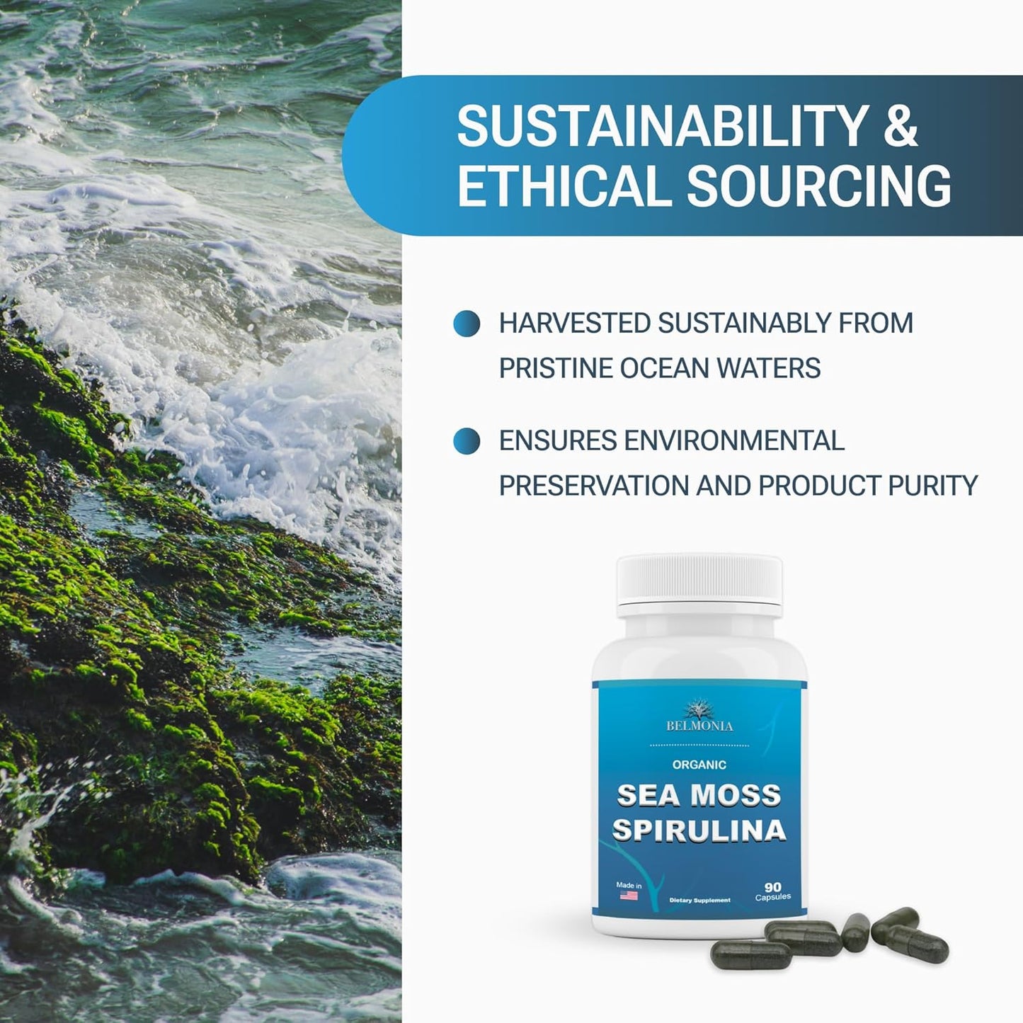 Organic Sea Moss Spirulina Capsules - High Potency Strength & Endurance Supplement for Men & Women - 100% Pure Superfood - Made in USA - 90 Vegan Caps
