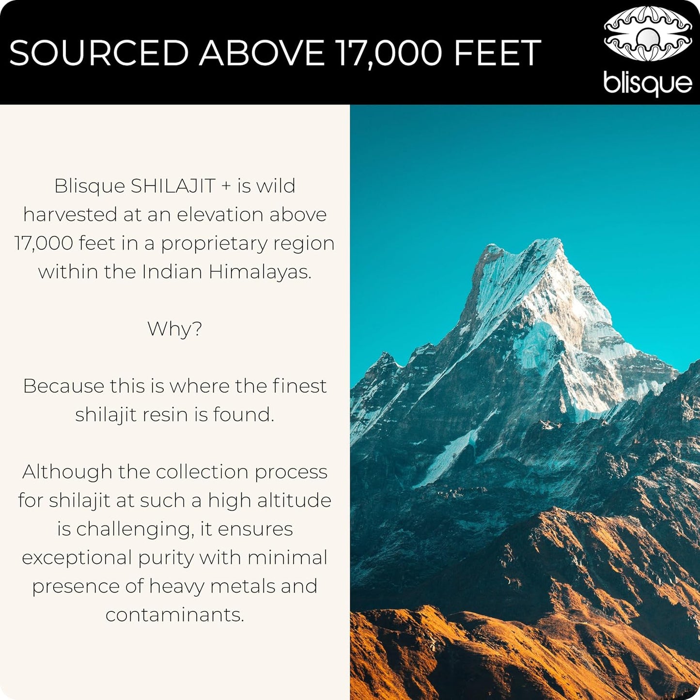 Organic Shilajit Resin Supplement with Shatavari and Iron for Women's Health - 60 Grams