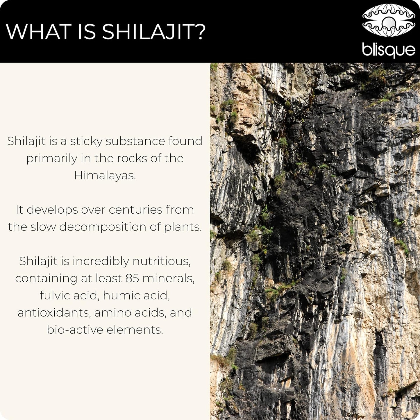 Organic Shilajit Resin Supplement with Shatavari and Iron for Women's Health - 60 Grams