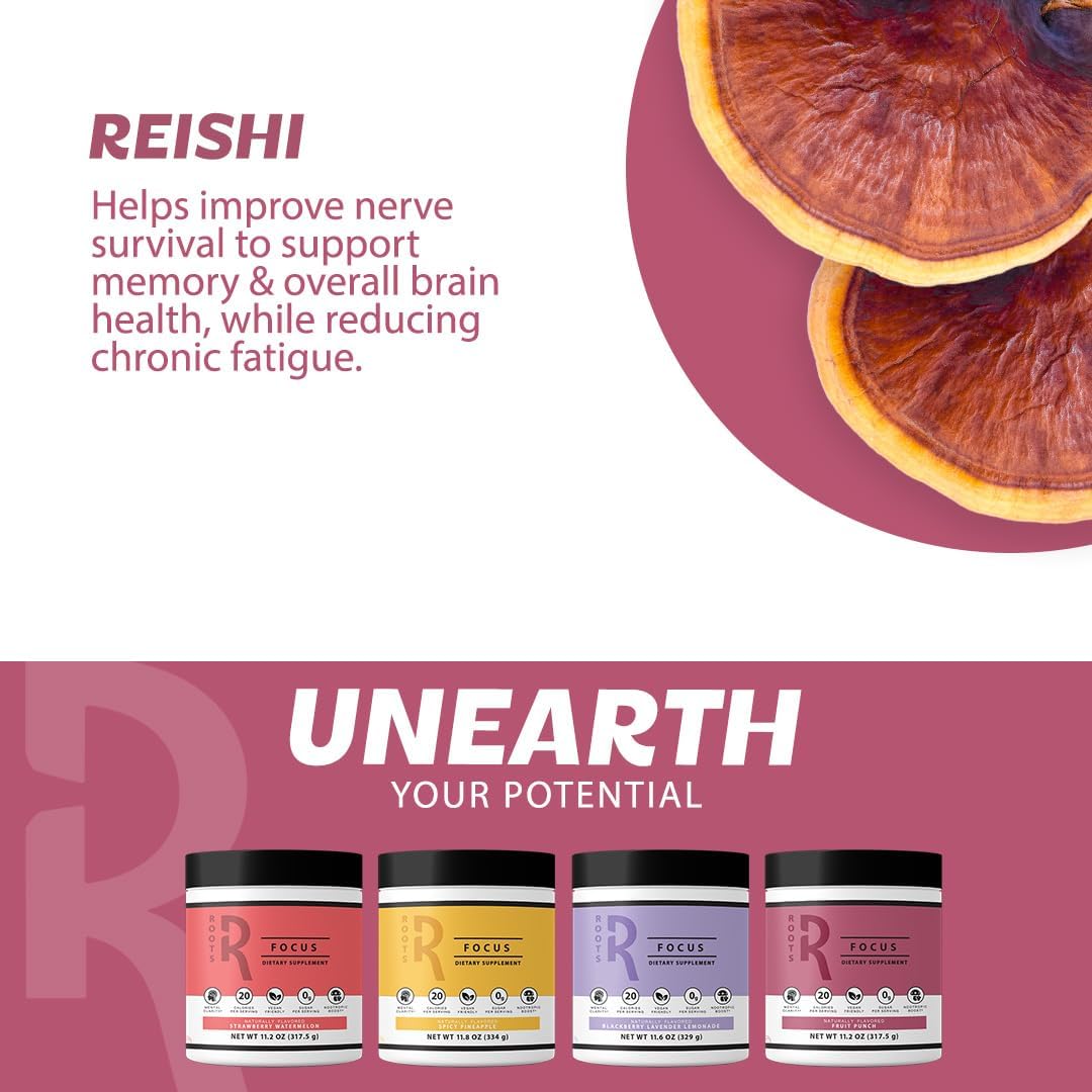 Organic Spicy Pineapple Nootropic Brain Supplement with Lion's Mane, Cordyceps, Reishi Mushrooms & Caffeine - 50 Servings