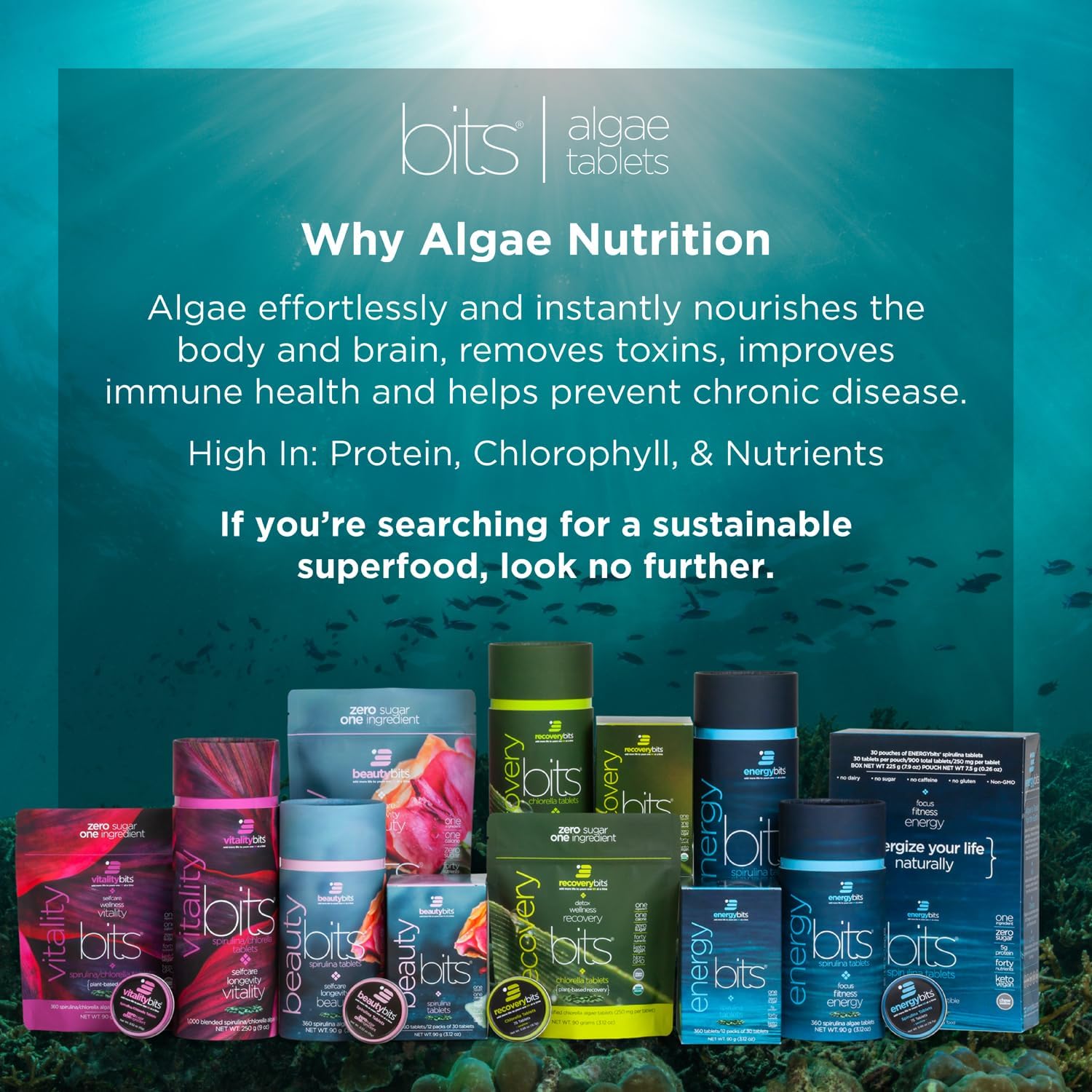 Organic Spirulina & Chlorella Tablets for Energy, Beauty, and Self Care - Algae Superfood - Vegan, Keto, Gluten Free - 1000 Tablets