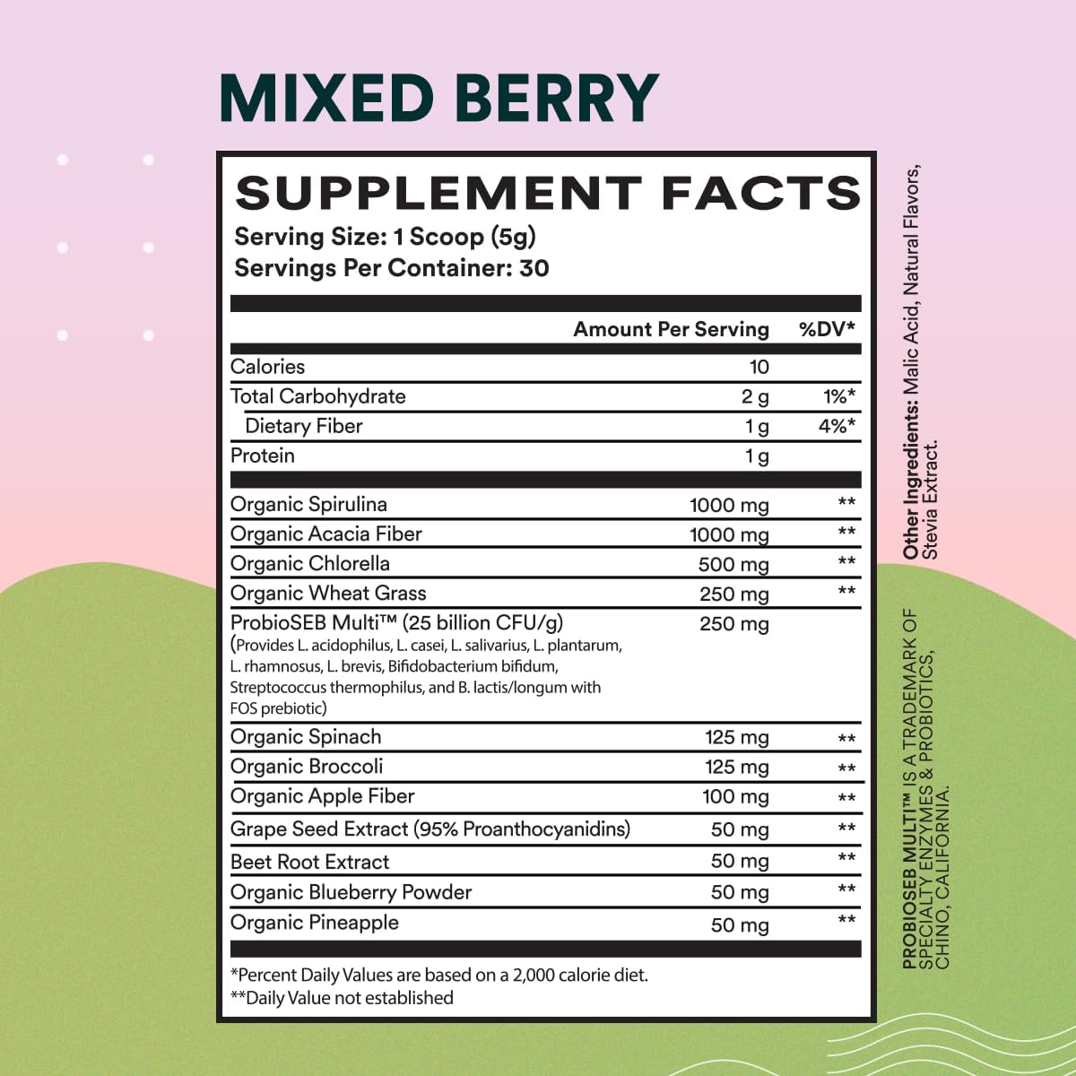Organic Spirulina Superfood Powder with Antioxidant-Rich Ingredients for Digestion & Energy - Mixed Berry, 30 Servings