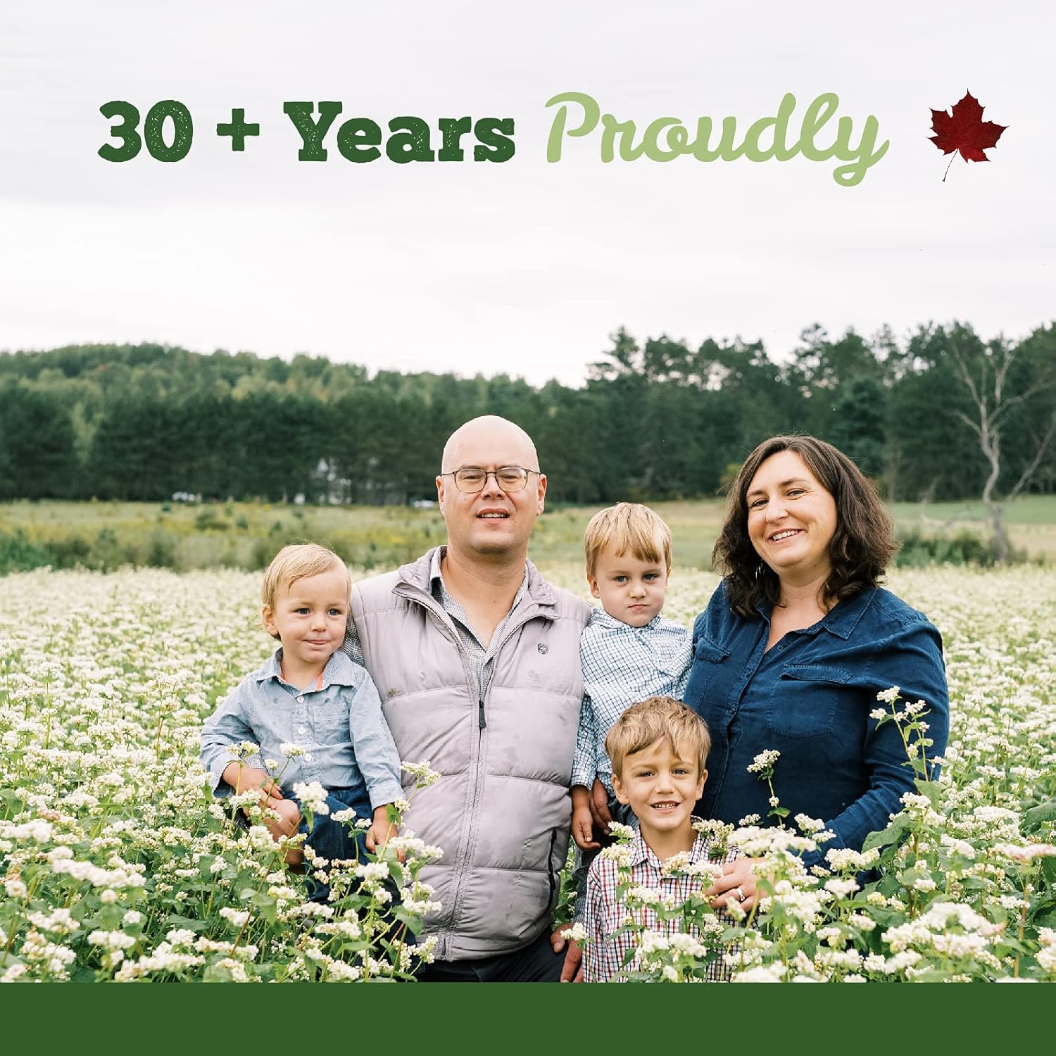 Organic St. John's Wort Herbal Tincture Liquid for Restlessness Relief | Traditional Sedative | Non-GMO | Lactose-Free | 250ml