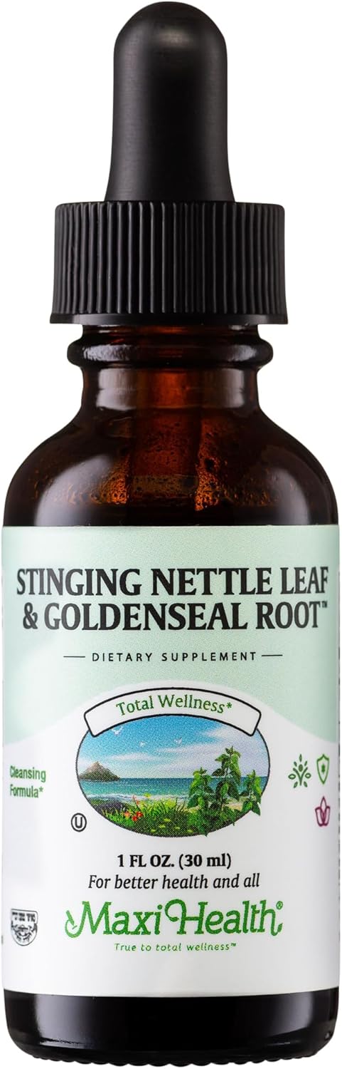 Organic Stinging Nettle and Goldenseal Root Blend - Alcohol-Free Nettle Tincture for Urinary and Kidney Support - Nettle Extract Liquid Drops 1 fl oz