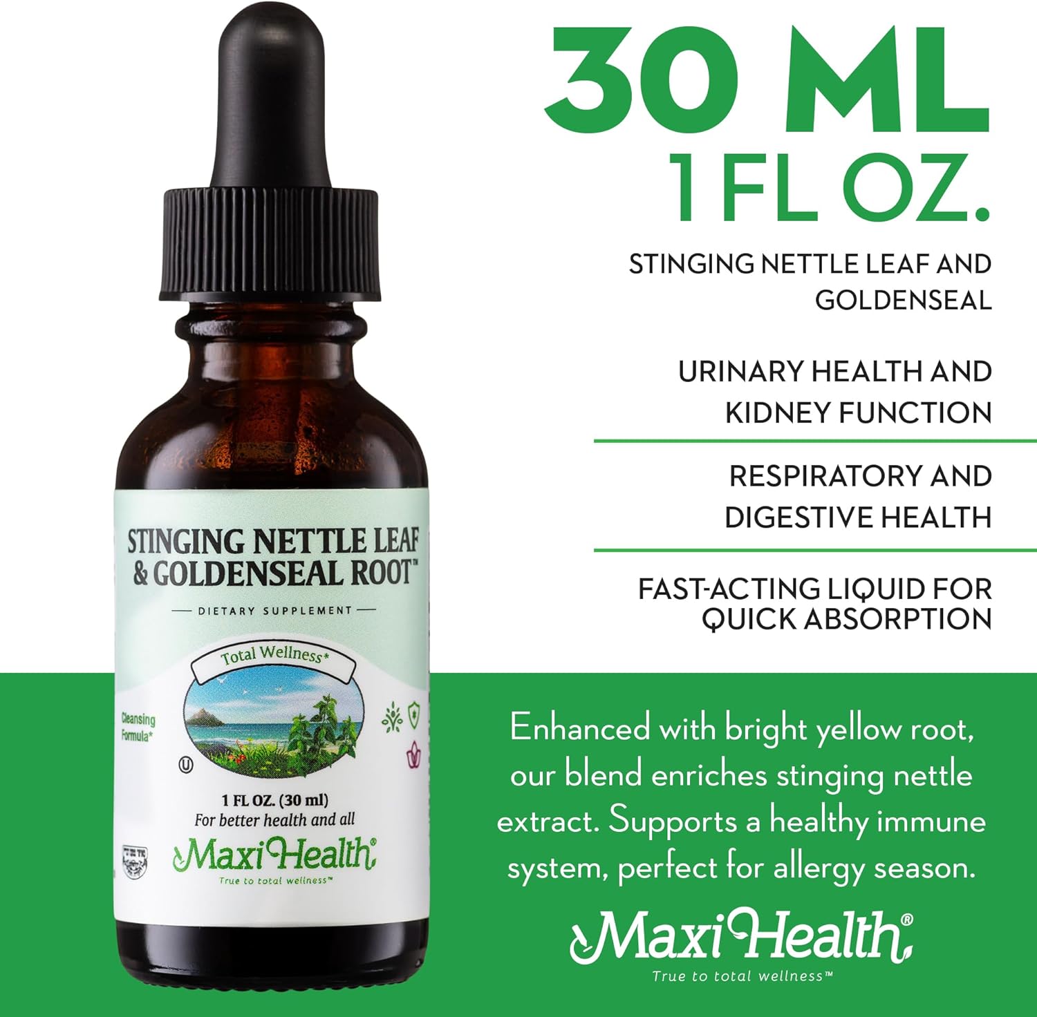 Organic Stinging Nettle and Goldenseal Root Blend - Alcohol-Free Nettle Tincture for Urinary and Kidney Support - Nettle Extract Liquid Drops 1 fl oz
