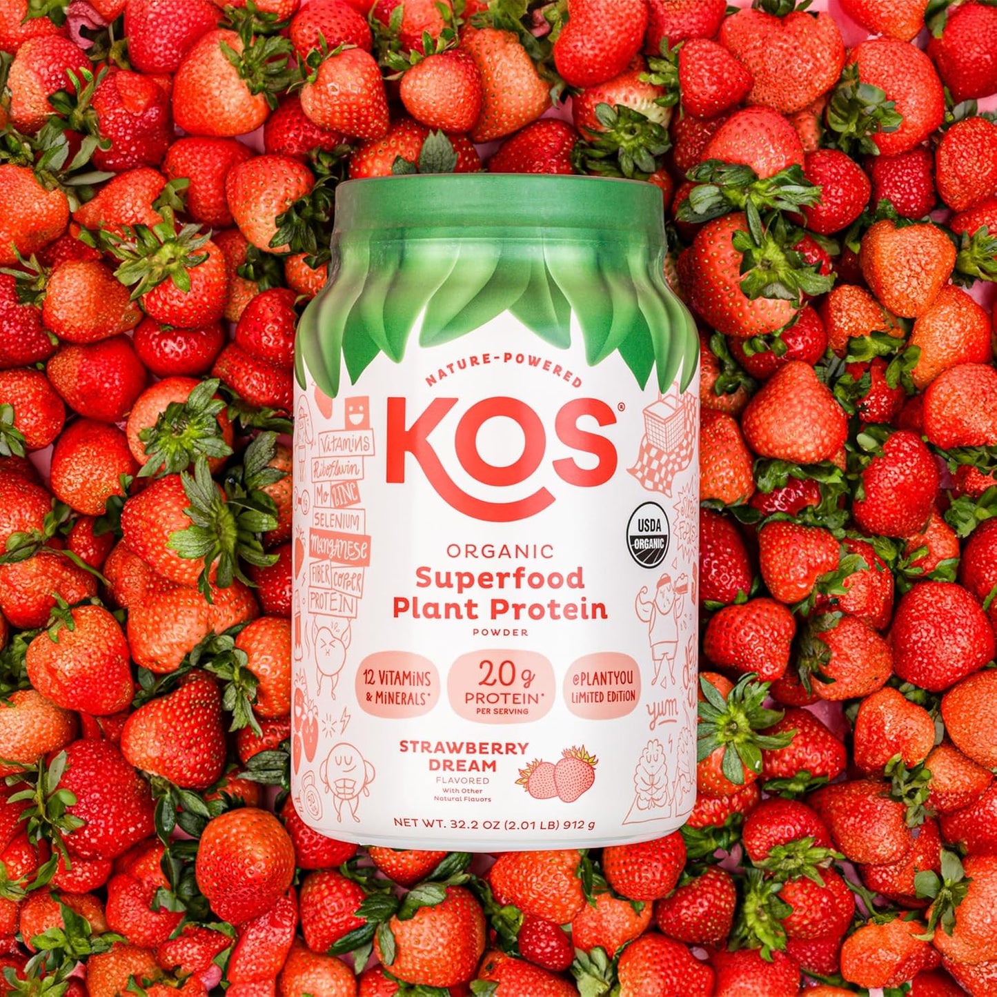 Organic Strawberry Dream Plant Protein Powder - Vegan Superfood Rich in Vitamins & Minerals for Men & Women - Dairy, Soy, Gluten Free - 24 Servings