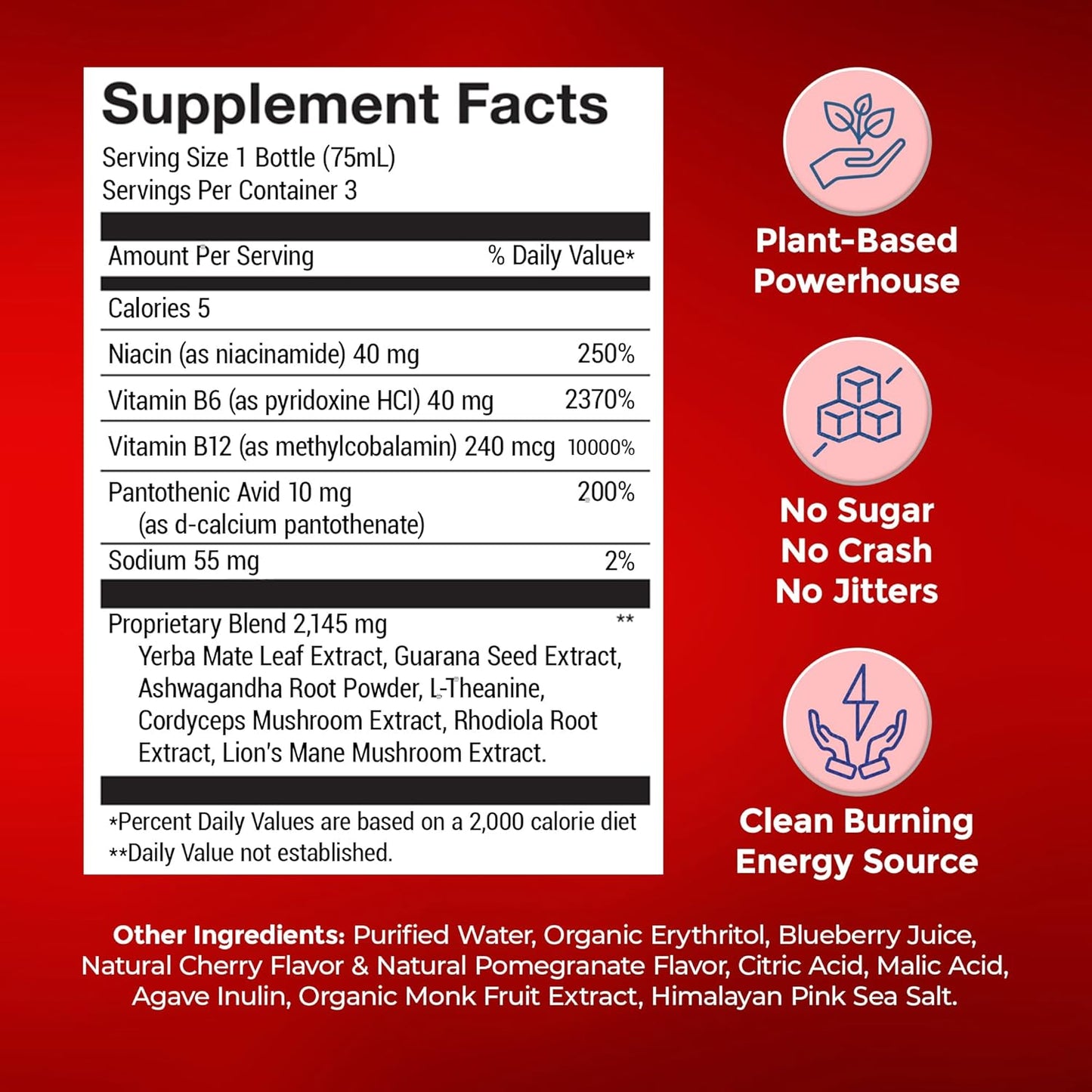 Organic Sugar-Free Energy Shots with Vitamin B12 and Plant-Based Ingredients - Cherry Pomegranate Flavor - 12 Pack