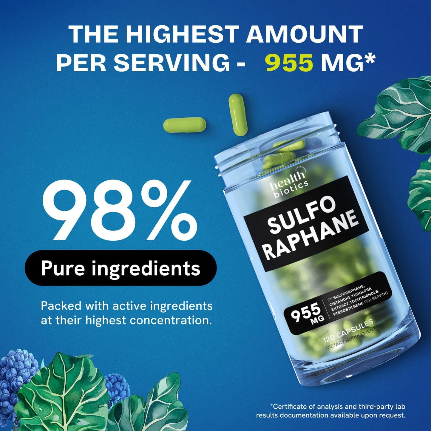 Organic Sulforaphane Supplement with Broccoli Sprouts, Seeds, and Florets | Stabilized Glucosinolate | 240 Pills for Kids & Adults | 2 Pack Offering