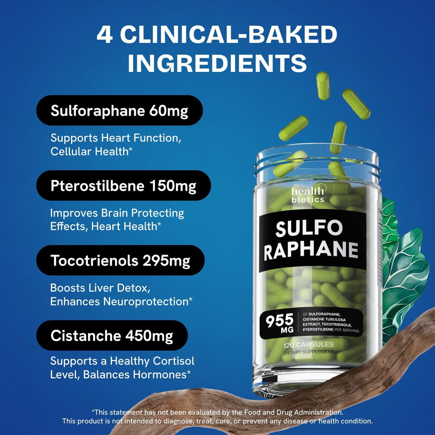 Organic Sulforaphane Supplement with Broccoli Sprouts, Seeds, and Florets | Stabilized Glucosinolate | 240 Pills for Kids & Adults | 2 Pack Offering